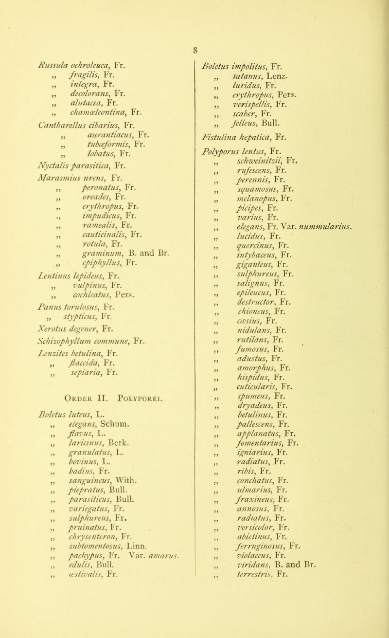 Russula ochroleuca, Fr. „ fragilis, Fr. „ Integra, Fr. „ decolorans, Fr. „ alutacea, Fr. „ chamoeleontina, Fr. Cantharellus cibarius, Fr. „ aurantiacus, Fr, „ tubceformis, Fr. „ lobatus, Fr. Nyctalis parasitica, Fr. Marasmius urens, Fr. „ peronatus, Fr. ,, oreades, Fr. „ erythropus, Fr. impudicus, Fr. „ rarnealis, Fr. ,, cauticinalis, Fr. „ rotula, Fr. „ graminum, B. and Br. „ epiphyllus, Fr. Lentinus lepideus, Fr. „ vulpinus, Fr. „ cochleatus, Pers. Panus iorulosus, Fr. „ stypticus, Fr. Xerotus degener, Fr. Schizophyllum commune, Fr. Lenzites betulina, Fr. ,, flaccida, Fr. „ sepiaria, Fr. Order II, Polyporej. Boletus luteus, L. „ elegans, Schum. „ flavus, L. „ laricinus, Berk. „ granulatus, L. ,, bovinus, L. „ badius, Fr. „ sanguineus. With. ,, piepratus. Bull. „ parasiticus, Bull. „ variegatus, Fr. „ sulphureus, Fr. „ pruinatus, Fr. „ chrysenteron, Fr. „ subtomentosus, Linn. ,, pachypus, Fr. Var. amarus. „ edulis, Bull. ,, aestivalis, Fr. Boletus impolitus, Fr. „ safanus, Lenz. „ luridus, Fr. „ erythropus, Pers. ,, verispellis, Fr. ,, scaber, Fr. „ felleus, Bull. Fistulina hepatica, Fr. Polyporus lent us, Fr. „ schweinitzii, Fr. rufescens, Fr. perennis, Fr. squamosus, Fr. melanopus, Fr. picipes, Fr. varius, Fr. elegans, Fr. Var. nummularius. lucidus, Fr. quercinus, Fr. intybaceus, Fr. giganteus, Fr. sulphureus, Fr. salignus, Fr. epileucus, Fr. destructor, Fr. chioneus, Fr. ccesius, Fr. nidulans, Fr. rutilans, Fr. fumosus, Fr. adustus, Fr. amorphus, Fr. hispidus, Fr. cuticularis, Fr. spumeus, Fr. dryadeus, Fr. betulinus, Fr. pallescens, Fr. applanatus, Fr. fomentarius, Fr. igniarius, Fr. radiatus, Fr. ribis, Fr. conchatus, Fr. ulmarius, Fr. fraxineus, Fr. annosus, Fr. radiatus, Fr. versicolor, Fr. abietinus, Fr. ferruginosus, Fr. violaceus, Fr. viridans, B. and Br. terrestris, Fr.