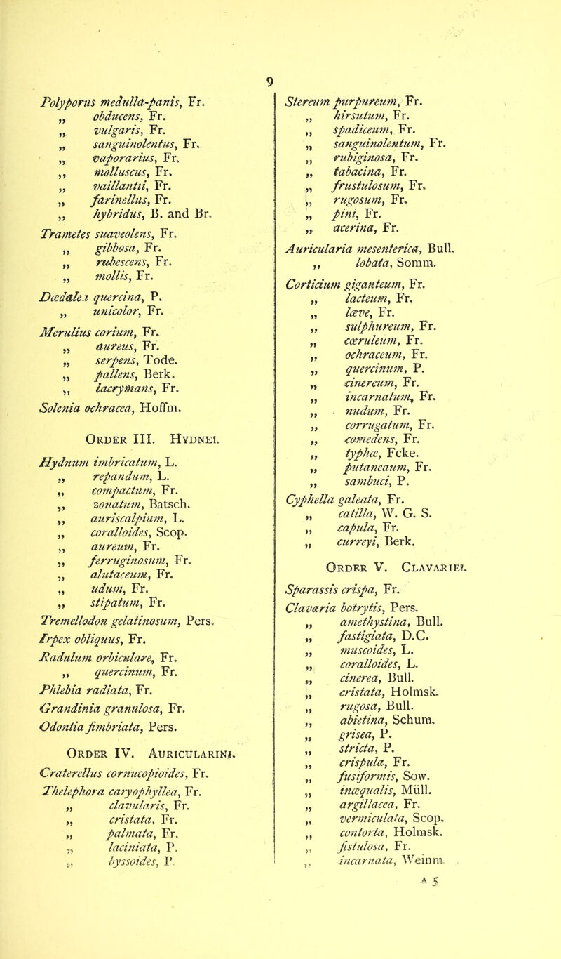 Poly poms medulla-panis, Fr. obducens, Fr. vulgaris, Fr. sanguinolentus, Fr. Vaporarius, Fr. molluscus, Fr. vaillantii, Fr. farinellus, Fr. hybridus, B. and Br. Trametes suaveolens, Fr. „ gibbosa, Fr. „ rubes cens, Fr. „ mollis, Fr. Deed ale.i quercina, P. „ unkolor, Fr. Merulius corium, Fr. „ aureus, Fr. ,5 serpens, Tode. ,, paliens, Berk. „ lacrymans, Fr. Solenia ochracea, Hoffm. Order III. Hydnei. Hydtmm imbricatum, L. „ repandum, L. „ compactum, Fr. wnatum, Batsch. auriscalpium, L. coralloides, Scop. aureum, Fr. ferruginosum, Fr. alutaceum, Fr. udum, Fr. stipatum, Fr. Tremellodon gelatinosum, Pers. Irpex obliquus, Fr. Radulum orbiadare, Fr. „ quercinum, Fr. Phlebia radiata, Fr. Grandinia granulosa, Fr. Odontia fimbriata, Pers. Order IV. Auricularinj. Craterellus cornueopioides, Fr. Thelephora caryophyllea, Fr. „ clavularis, Fr. „ cristata, Fr. „ palmata, Fr. laciniata, P. byssoides, P. Stereum purpureum, Fr. „ hirsulum, Fr. ,, spadiceum, Fr. „ sanguinolentum, Fr. „ rubiginosa, Fr. „ tabacina, Fr. „ frustulosum, Fr. L rugosum, Fr. „ pini, Fr. ,y acerina, Fr. Auricularia mesenterica. Bull. ,, lobata, Somra. Corticium giganteum, Fr. „ lacteum, Fr. Iceve, Fr. sulphureum, Fr. cceruleum, Fr. ochraceum, Fr. quercinum, P. dnereum, Fr. incar nailing Fr. nudum, Fr. corrugatum, Fr. eomedens, Fr. „ typhee, Fcke. „ putaneaum, Fr. „ sambuci, P. Cyphella gal eat a, Fr. „ catilla, YV. G. S. „ eapula, Fr. „ curreyi, Berk. Order V. Clavariel Spar as sis crisp a, Fr. Clavaria botrytis, Pers. „ amethystina, Bull. „ fastigiata, D.C. jj muscoides, L. „ coralloides, L. „ cinerea, Bull. „ cristata, Holmsk, „ rugosa, Bull. ,, abietina, Schum. „ grisea, P. „ strict a, P. „ crispula, Fr. „ fusiformis, Sow. „ incequalis, Miill. „ argillacea, Fr. „ vermiculata, Scop. contorta, Holmsk. ,, fistulosa, Fr. t, incarnata, Weinm.