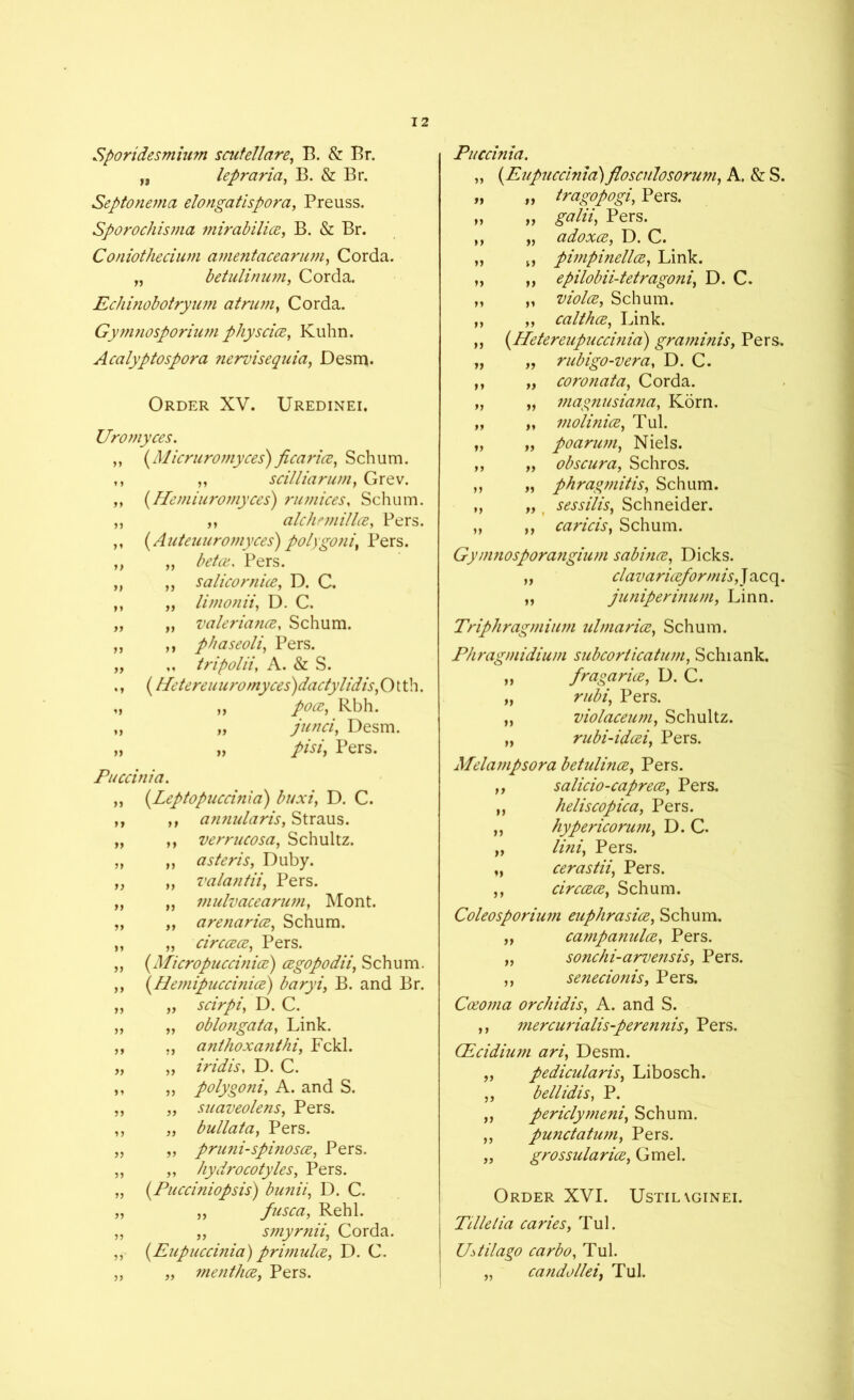 Sporidesmium scutellare, B. 8z Br. „ lepraria, B. & Br. Septonema elongatispora, Preuss. Sporochis)iia mirabilia, B. & Br. Coniothecium amentacearum, Corda. „ betulinum, Corda. Echinobotryum at nun, Corda. Gym?iosporiu?n physcia, Kuhn. Acalyptospora nervisequia, Desm. Order XV. Uredinei. Uromyces. (Micruromyces) ficaria, Sebum. „ scilliarum} Grev. (Hemiuromyces) rumices, Schum. ,, alchnnilla, Pers. (Auteuuromyces) polygoni, Pers. beta, Pers. salicornia, D. C. limonii, D. C. valeriatia, Schum. phaseoli, Pers. tripolii, A. & S. (Hetereuuromyces)dactylidis, O t th. ,, Rbh. „ junci, Desm. „ /A/, Pers. Puccini a. (.Leptopuccinia) bt/xi, D. C. annularis, Straus. verrucosa, Schultz. aster is, Duby. valantii, Pers. mulvacearum, Mont. arenarice, Schum. circcecz, Pers. (Micropuccinicz) czgopodii, Schum. (Hemipuccinicz') baryi, B. and Br. „ scirpi, D. C. „ oblongata, Link. ,, anthoxanthi, Fckl. „ iridis, D. C. » polygoni, A. and S. „ suaveolens, Pers. „ bullata, Pers. „ pruni-spinosce, Pers. ,, hydrocotyles, Pers. (.Pucciniopsis) bunii, D. C. j, fusca, Rehl. ,, smyrnii, Corda. (Eupuccinia) primula, D. C. „ me?ithcz, Pers. Puccinia. {Eupuccinia) flosculosorum, A. & S. „ tragopogi, Pers. „ £#///, Pers. „ adoxce, D. C. if pimpinellcz, Link. ,, epilobii-tetragoni\ D. C. „ viola, Schum. „ caltha, Link. (Iletereupuccmia) graminis, Pers. „ rubigo-vera, D. C. „ coronata, Corda. „ magnusiana, Korn. „ molinia, Tub „ poarum, Niels. „ obscura, Schros. „ phrag?nitis, Schum. „ t sessilis, Schneider. ,, caricis, Schum. Gymnosporangium sabina, Dicks. „ clavariaformis, Jacq. „ junipermum, Linn. Triphragmium ulmaria, Schum. Phragmidium subcorticatum, Schiank. « fragaria, D. C. „ rubi, Pers. „ violaceum, Schultz. „ rubi-idai, Pers. Melampsora betulina, Pers. „ salicio-caprea, Pers. „ heliscopica, Pers. „ hypericorum, D. C. „ lini, Pers. „ cerastii, Pers. ,, circaa, Schum. Coleosporium euphrasia, Schum. „ campanula, Pers. „ sonchi-arvensis, Pers. ,, senecionis, Pers. Caoma orchidis, A. and S. ,, mercurialis-perennis, Pers. GLcidium ari, Desm. „ pedicularis, Libosch. ,, bellidis, P. „ periclymeni, Schum. ,, punctatu7?i, Pers. „ grossularia, Gmel. Order XVI. Ustilxginei. Tilletia caries, Tul. UAil ago carbo, Tul. „ candollei, Tul.