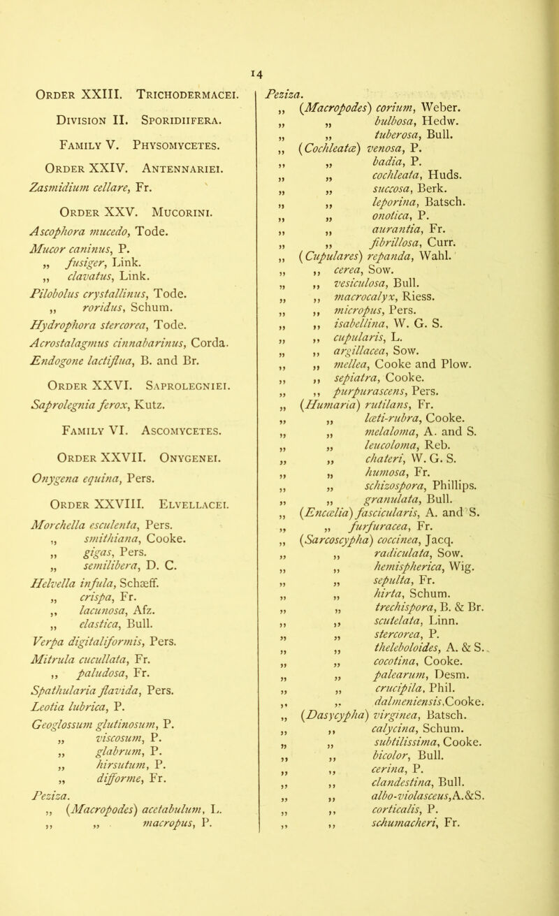 Order XXIII. Trichodermacei. Division II. Sporidiifera. Family V. Physomycetes. Order XXIV. Antennariei. Zasmidium cellare, Fr. Order XXV. Mucorini. Ascophora mucedo, Tode. Mucor caninus, P. „ fusiger, Link. „ clavatus, Link. Pilobolus crystallinus, Tode. „ roridus, Schum. Hydrophora stercorea, Tode. Acrostalagmus cinnabarinus, Corda. Endogone lactiflua, B. and Br. Order XXVI. Saprolegniei. Saprolegnia ferox, Kutz. Family VI. Ascomycetes. Order XXVII. Onygenei. Onygena equina, Pers. Order XXVIII. Elvellacei. Morchella esculenta, Pers. „ smithiana, Cooke. „ gigas, Pers. „ semilibera, D. C. Helvella infula, Schaeff. „ crispa, Fr. ,, lacunosa, Afz. „ elastica, Bull. Verpa digitalifor 7?iis, Pers. Mitrula cucullata, Fr. „ paludosa, Fr. Spathularia flavida, Pers. Leotia lubrica, P. Geoglossum glutinosum, P. „ viscosu?7i, P. „ glabrum, P. „ hirsutum, P. „ difforme, Fr. Peziza. ,, (Macropodes) acetabulum, L. ,, „ macropus, P. Peziza. „ (Macropodes) corium, Weber. „ „ bulbosa, Hedw. „ „ tuberosa, Bull. ,, (Cochleatce) venosa, P. ,, „ badia} P. „ cochleata, Huds. „ succosa, Berk. ,, leporina, Batsch. „ onotica, P. ,, aurantia, Fr. „ fibrillosa, Curr. (Cupulares) repanda, Wahl. cm1#, Sow. vesiculosa, Bull. macrocalyx, Riess. micropus, Pers. isabellina, W. G. S. cupular is, L. argillacea, Sow. mellea, Cooke and Plow. sepiatra, Cooke. purpurascens, Pers. (Humana) rutilans, Fr. Iceti-rubra, Cooke. melaloma, A. and S. leucoloma, Reb. chateri, W. G. S. humosa, Fr. schizospora, Phillips. „ granulata, Bull. (Enccclia) fascicularis, A. and S. j> furfuracea, Fr. (Sarcoscypha) coccinea, Jacq. „ radiculata, Sow. „ hemispherica, Wig. „ sepulta, Fr. hirta, Schum. trechispora, B. & Br. scutelata, Linn. ster corea, P. theleboloides, A. & S. cocotina, Cooke. palearum, Desm. „ crucipila. Phil. ,. dalmeniensis, Cooke. (Dasycypha) virginea, Batsch. ,, calycina, Schum. „ subtilissima, Cooke. ,, bicolor, Bull. ,, cerina, P. ,, clandestina, Bull. ,, albo-violasceus, A.&S. ,, corticalis, P. ,, schumacheri, Fr.