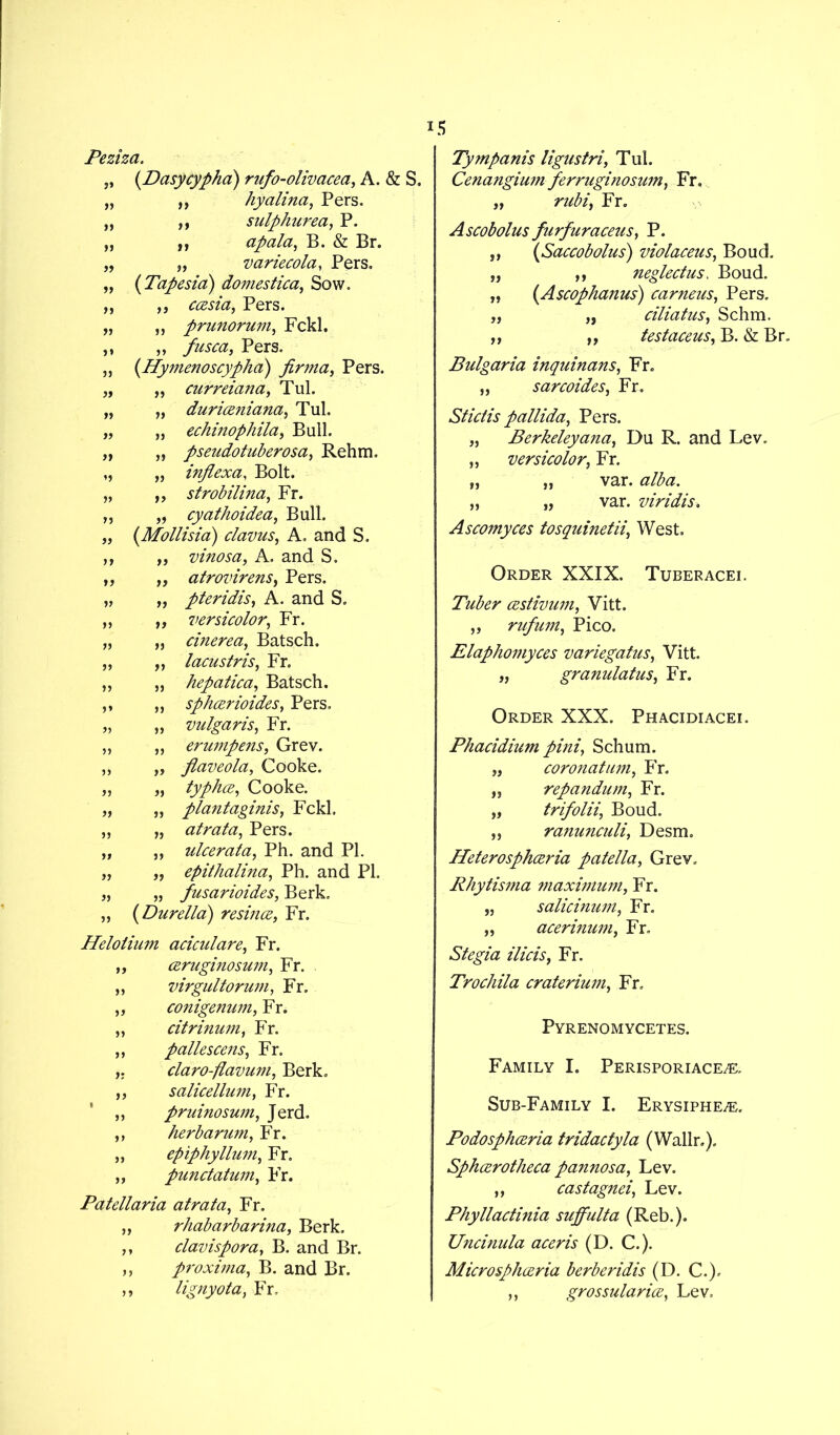 Peziza. (Dasycypha) rufo-olivacea, A. & S. ,, hyalina, Pers. ,, sulphured, P. ft apala, B. & Br. „ variecola, Pers. (Tapesia) domestica, Sow. „ ccesia, Pers. ,, prunorum, Fckl. „ fused, Pers. (Hynienoscypha) firnm, Pers. curreidnd, Tul. duricenidnd, Tul. echinophild, Bull. pseudotuberosd, Rehm. inflexd, Bolt. strobilind, Fr. cydthoided, Bull. (Mollisld) cldvus, A. and S. vinosd, A. and S. dtrovirens, Pers. pteridis, A. and S. versicolor, Fr. cinered, Batsch. Idcustris, Fr. hepdtied, Batsch. spheerioides, Pers. vulgdris, Fr. erumpens, Grev. ftdveold, Cooke. typhee, Cooke. pldntdginis, Fckl. dtrdtd, Pers. ulcer did, Ph. and PI. epithdlind, Ph. and PI. fusdrioides, Berk. „ (Durelld) resince, Fr. Helolium dciculdre, Fr. „ ceruginosuvi, Fr. „ virgultorum, Fr. „ conigenum, Fr. „ citrinum, Fr. ,, pdllescens, Fr. cldro-fldvum, Berk. ,, salicellum, Fr. ,, pruinosum, Jerd. ,, herbdrum, Fr. „ epiphyllum, Fr. „ punetdtum, Fr. Pdtelldrid dtrdtd, Fr. „ rhdbdrbdrind, Berk. ,, cldvispord, B. and Br. ,, proximd, B. and Br. >» lignyotd, Fr, Tympdnis ligustri, Tul. Cendngium ferrugihosum, Fr, „ rubi, Fr. Ascobolus furfurdeeus, P. „ (Sdccobolus) violdceus, Boud. „ ,, neglectus, Boud. „ (Ascophdnus) edrneus, Pers. „ „ cilidtus, Schm. „ a testdeeus, B. & Br. Bulgdrid inquindns, Fr. „ sdreoides, Fr. Stictis pdllidd, Pers. „ Berkeleydnd, Du R. and Lev. „ versicolor, Fr. „ „ var. dlbd. „ „ var. viridis, Ascomyces tosquinetii, West. Order XXIX. Tuberacei. Tuber cestivum, Vitt. „ rufum, Pico. Eldphomyces vdriegdtus, Vitt. „ grunuldtus, Fr. Order XXX. Phacidiacei. Phdcidium pini, Schum. „ corondtum, Fr. „ repdndum, Fr. „ trifolii, Boud. ,, rd?iunculi, Desm. Heterosphcerid pdtelld, Grev. Rhytismd maximum, Fr. „ sdlicinum, Fr. „ acerinum, Fr. Stegid ilicis, Fr. Trochild erdterium, Fr. Pyrenomycetes. Family I. Perisporiace^:. Sub-Family I. Erysiphe.®. Podosphceria triddctyld (Wallr.). Sphcerothecd pdnnosd, Lev. ,, cdstdgnei, Lev. Phyllddinid suffultd (Reb.). Uncinuld aceris (D. C.). Microsphcerid berberidis (D. C.). ,, grossuldrice, Lev,