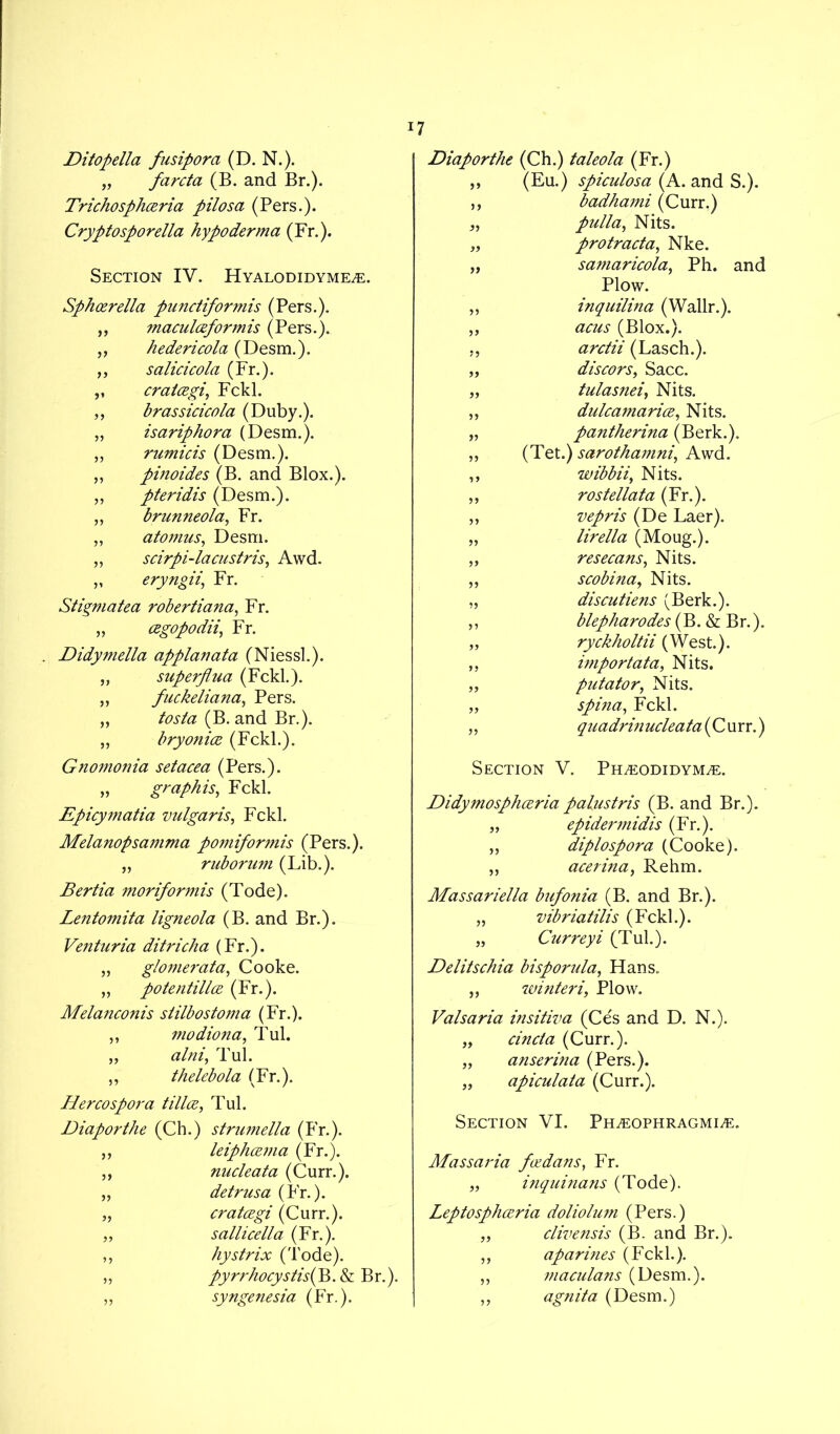 Ditopella fusipora (D. N.). „ farcta (B. and Br.). Trichosphceria pilosa (Pers.). Cryptosporella hypo derma (Fr.). Section IV. Hyalodidyme^e. Sphcerella pundiformis (Pers.). „ maculceformis (Pers.). ,, hedericola (Desm.). ,, salicicola (Fr.). ,, cratcegi, Fckl. „ brassicicola (Duby.). „ isariphora (Desm.). „ rumids (Desm.). „ pinoides (B. and Blox.). „ pteridis (Desm.). „ brunneola, Fr. ,, atomus, Desm. „ sdrpi-lacustris, Awd. „ eryngii, Fr. Stigmatea robertiana, Fr. „ cegopodii, Fr. . Didymella applanata (Niessl.). „ superflua (Fckl.). „ fuckeliana, Pers. „ tosta (B. and Br.). „ bryonice (Fckl.). Gnomonia setacea (Pers.). „ graphis, Fckl. Epicymafia vulgaris, Fckl. Melanopsamma pomiformis (Pers.). „ ruborum (Lib.). Bertia moriformis (Tode). Lentomita ligneola (B. and Br.). Venturia ditricha (Fr.). „ glomerata, Cooke. „ potentillce (Fr.). Melanconis siilbostoma (Fr.). ,, modiona, Tul. „ alni, Tul. ,, thelebola (Fr.). Hercospora tillee, Tul. Diaporthe (Ch.) strumella (Fr.). „ leiphcema (Fr.). „ nudeata (Curr.). „ detrusa (Fr.). „ cratcegi (Curr.). „ sallicella (Fr.). ,, hystrix (Tode). „ pyrrhocystis( B.&Br.). „ syngenesia (Fr.). Diaporthe (Ch.) taleola (Fr.) ,, (Eu.) spiculosa (A. and S.). ,, badha?ni (Curr.) „ pulla, Nits. „ protrada, Nke. „ samaricola, Ph. and Plow. „ inquilina (Wallr.). „ acus (Blox.). „ arctii (Lasch.). „ discors, Sacc. „ tulasneiy Nits. „ dulcamarice, Nits. „ pantherina (Berk.). „ (Tet.) sarothamni, Awd. ,, wibbii, Nits. „ rostellata (Fr.). ,, vepris (De Laer). „ lirella (Moug.). „ resecans, Nits. ,, scobina, Nits. „ discutiens (Berk.). ,, blepharodes (B.&Br.). „ ryckholtii (West.). ,, importata, Nits. „ putator, Nits. „ spina, Fckl. ,, quadrmucleata (C urr.) Section V. Pieeodidyjvee. Didymosphceria palustris (B. and Br.). „ epidermidis (Fr.). „ diplospora (Cooke). „ acerina, Rehm. Massariella bufonia (B. and Br.). ,, vibriatilis ( Fckl.). „ Curreyi (Tub). Delitschia bisporula, Hans. ,, winteri, Plow. Valsaria insitiva (Ces and D. N.). „ cinda (Curr.). „ anserina (Pers.). „ apiculata (Curr.). Section VI. Ph.eophragmi^e. Mass aria foedans, Fr. „ inquinans (Tode). Leptosphceria doliolwn (Pers.) „ clivensis (B. and Br.). ,, aparines (Fckl.). ,, maculans (Desm.). „ agnita (Desm.)