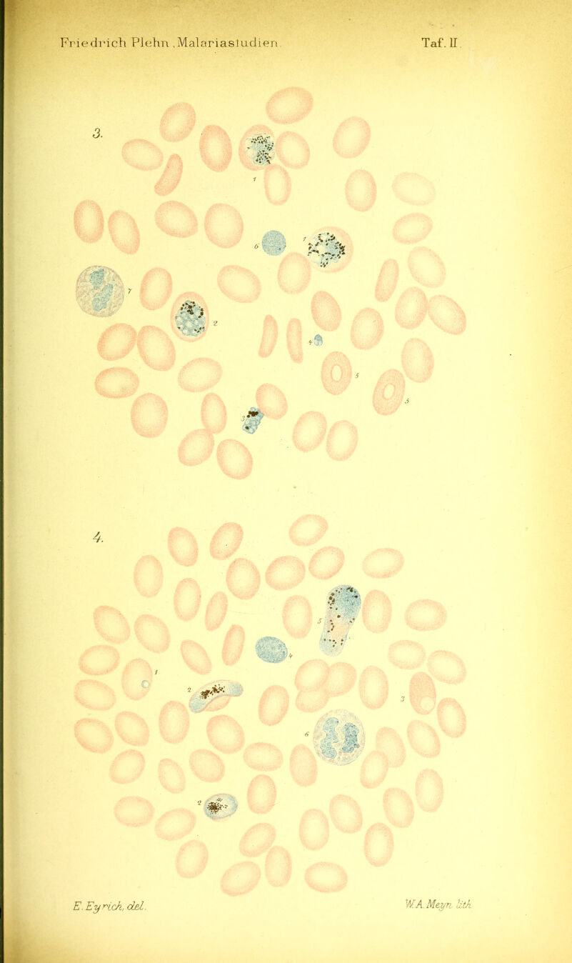 E. Eynck, dßl. WA.Meyn Uth.