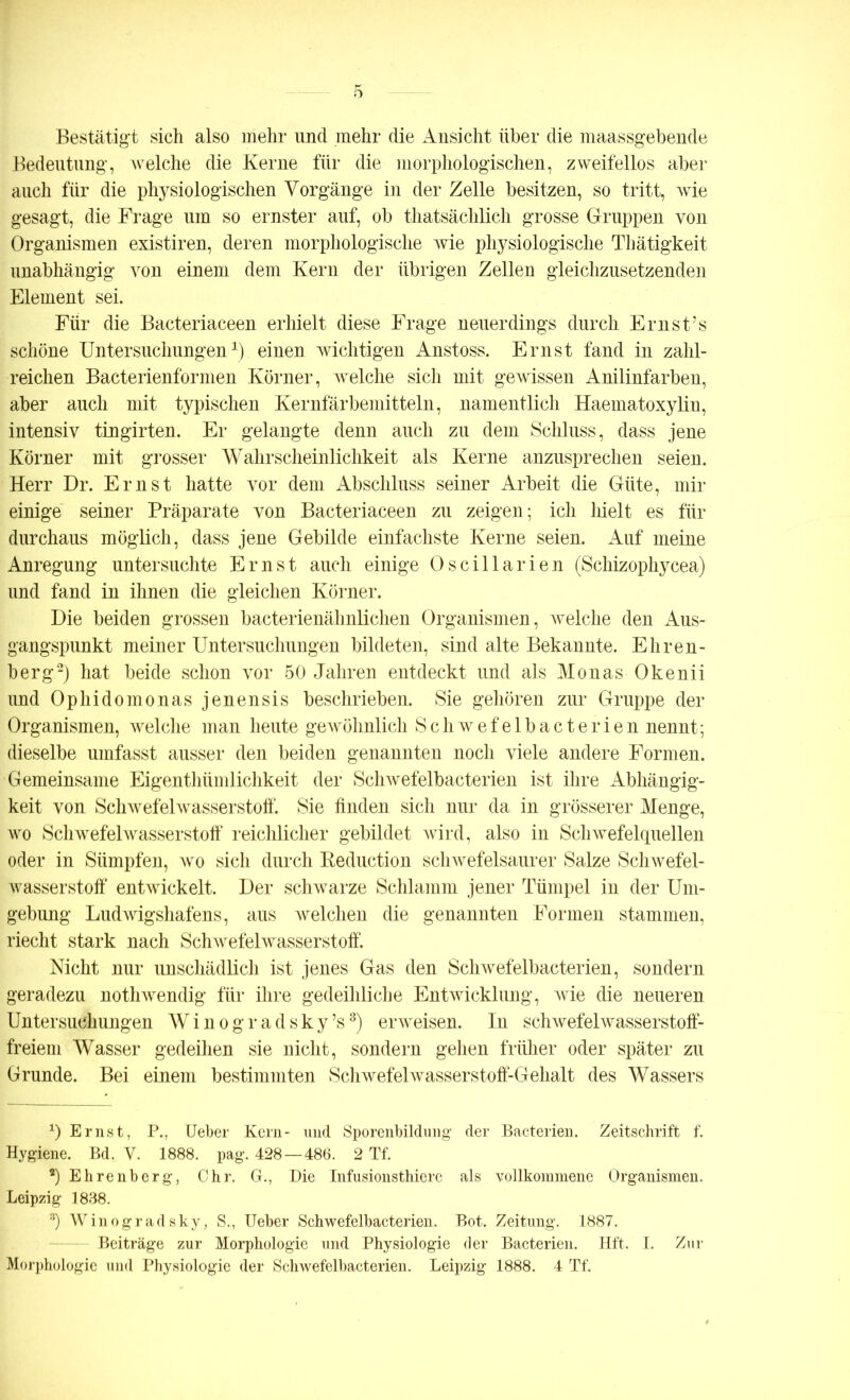 Bestätigt sich also mehr und mehr die Ansicht über die maassgebende Bedeutung, welche die Kerne für die morphologischen, zweifellos aber auch für die physiologischen Vorgänge in der Zelle besitzen, so tritt, wie gesagt, die Frage um so ernster auf, ob thatsächlich grosse Gruppen von Organismen existiren, deren morphologische wie physiologische Thätigkeit unabhängig von einem dem Kern der übrigen Zellen gleichzusetzenden Element sei. Für die Bacteriaceen erhielt diese Frage neuerdings durch Ernst’s schöne Untersuchungen1) einen wichtigen Anstoss. Ernst fand in zahl- reichen Bacterienformen Körner, welche sich mit gewissen Anilinfarben, aber auch mit typischen Kernfärbemitteln, namentlich Haematoxylin, intensiv tingirten. Er gelangte denn auch zu dem Schluss, dass jene Körner mit grosser Wahrscheinlichkeit als Kerne anzusprechen seien. Herr Dr. Ernst hatte vor dem Abschluss seiner Arbeit die Güte, mir einige seiner Präparate von Bacteriaceen zu zeigen; ich hielt es für durchaus möglich, dass jene Gebilde einfachste Kerne seien. Auf meine Anregung untersuchte Ernst auch einige Oscillarien (Schizophycea) und fand in ihnen die gleichen Körner. Die beiden grossen bacterienähnlichen Organismen, welche den Aus- gangspunkt meiner Untersuchungen bildeten, sind alte Bekannte. Ehren- berg2) hat beide schon vor 50 Jahren entdeckt und als Monas Okenii und Ophidomonas jenensis beschrieben. Sie gehören zur Gruppe der Organismen, welche man heute gewöhnlich Schwefelbacterien nennt; dieselbe umfasst ausser den beiden genannten noch viele andere Formen. Gemeinsame Eigenthiimlichkeit der Schwefelbacterien ist ihre Abhängig- keit von Schwefelwasserstoff. Sie finden sich nur da in grösserer Menge, wo Schwefelwasserstoff' reichlicher gebildet wird, also in Schwefelquellen oder in Sümpfen, wo sich durch Beduction schwefelsaurer Salze Schwefel- wasserstoff entwickelt. Der schwarze Schlamm jener Tümpel in der Um- gebung Ludwigshafens, aus welchen die genannten Formen stammen, riecht stark nach Schwefelwasserstoff. Nicht nur unschädlich ist jenes Gas den Schwefelbacterien, sondern geradezu nothwendig für ihre gedeihliche Entwicklung, wie die neueren Untersuchungen Winogradsky’s3) erweisen. In schwefelwasserstoff- freiem Wasser gedeihen sie nicht, sondern gehen früher oder später zu Grunde. Bei einem bestimmten Schwefelwasserstoff-Gehalt des Wassers 1) Ernst, P., Ueber Kern- und Sporenbildung' der Bacterien. Zeitschrift f. Hygiene. Bd. V. 1888. pag. 428 — 486. 2 Tf. 2) Ehrenberg, Chr. G., Die Infusionsthiere als vollkommene Organismen. Leipzig 1838. 3) Winogr adsky, S., Ueber Schwefelbacterien. Bot. Zeitung. 1887. Beiträge zur Morphologie und Physiologie der Bacterien. Hft. I. Zur Morphologie und Physiologie der Schwefelbacterien. Leipzig 1888. 4 Tf.