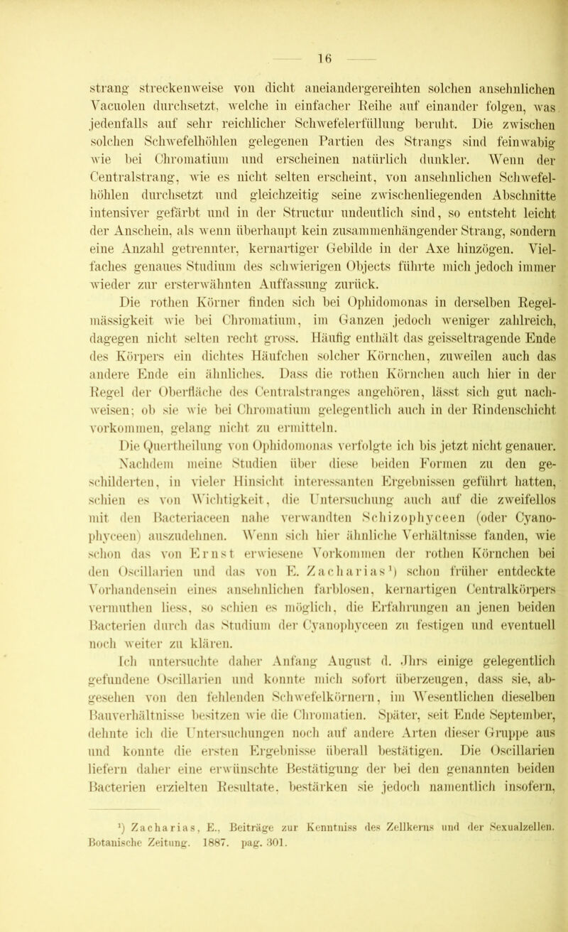 sträng- streckenweise von dicht aneiandergereihten solchen ansehnlichen Vacnolen durchsetzt, welche in einfacher Reihe auf einander folgen, was jedenfalls auf sehr reichlicher Schwefelerfüllung beruht. Die zwischen solchen Schwefelhöhlen gelegenen Partien des Strangs sind feinwabig wie bei Chromatiuni und erscheinen natürlich dunkler. Wenn der Centralstrang, wie es nicht selten erscheint, von ansehnlichen Schwefel- höhlen durchsetzt und gleichzeitig seine zwischenliegenden Abschnitte intensiver gefärbt und in der Structur undeutlich sind, so entsteht leicht der Anschein, als wenn überhaupt kein zusammenhängender Strang, sondern eine Anzahl getrennter, kernartiger Gebilde in der Axe hinzögen. Viel- faches genaues Studium des schwierigen Objects führte mich jedoch immer wieder zur ersterwähnten Auffassung zurück. Die rothen Körner finden sich bei Ophidomonas in derselben Regel- mässigkeit wie bei Chromatiuni, im Ganzen jedoch weniger zahlreich, dagegen nicht selten recht gross. Häufig enthält das geisseltragende Ende des Körpers ein dichtes Häufchen solcher Körnchen, zuweilen auch das andere Ende ein ähnliches. Dass die rothen Körnchen auch hier in der Regel der Oberfläche des Centralstranges angehören, lässt sich gut nach- weisen; ob sie wie bei Chromatiuni gelegentlich auch in der Rindenschicht Vorkommen, gelang nicht zu ermitteln. Die Quertheilung von Ophidomonas verfolgte ich bis jetzt nicht genauer. Nachdem meine Studien über diese beiden Formen zu den ge- schilderten, in vieler Hinsicht interessanten Ergebnissen geführt hatten, schien es von Wichtigkeit, die Untersuchung auch auf die zweifellos mit den Bacteriaceen nahe verwandten Schizophyceen (oder Cyano- phyceen) auszudehnen. Wenn sicli hier ähnliche Verhältnisse fänden, wie schon das von Ernst erwiesene Vorkommen der rothen Körnchen bei den Oscillarien und das von E. Zacharias1) schon früher entdeckte Vorhandensein eines ansehnlichen farblosen, kernartigen Centralkörpers vermuthen liess, so schien es möglich, die Erfahrungen an jenen beiden Bacterien durch das Studium der Cyanophyceen zu festigen und eventuell noch weiter zu klären. Ich untersuchte daher Anfang August d. Jhrs einige gelegentlich gefundene Oscillarien und konnte mich sofort überzeugen, dass sie, ab- gesehen von den fehlenden Schwefelkörnern, im Wesentlichen dieselben Bauverhältnisse besitzen wie die Chromatien. Später, seit Ende September, dehnte ich die Untersuchungen noch auf andere Arten dieser Gruppe aus und konnte die ersten Ergebnisse überall bestätigen. Die Oscillarien liefern daher eine erwünschte Bestätigung der bei den genannten beiden Bacterien erzielten Resultate, bestärken sie jedoch namentlich insofern, *) Zacharias, E., Beiträge zur Kenntniss des Zellkerns und der Sexualzellen. Botanische Zeitung. 1887. pag. 301.