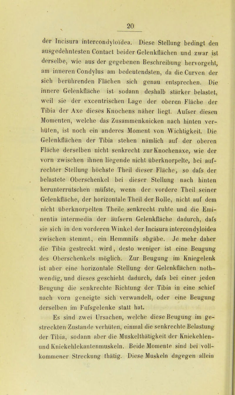 der Incisura intercondyloidea. Diese Stellung bedingt den ausgedehntesten Conlacl beider Gelenkflächen und zwar ist derselbe, wie aus der gegebenen Beschreibung hervorgehl, am inneren Condylus am bedeutendsten, da die Curven der sich berührenden Flächen sich genau entsprechen. Die innere Gelenkfläche ist sodann deshalb stärker belastet, weil sie der excentrischen Lage der oberen Fläche der Tibia der Axe dieses Knochens näher liegt. Aufser diesen Momenten, welche das Zusammenknicken nach hinten ver- hüten, ist noch ein anderes Moment von Wichtigkeit. Die Gelenkflächen der Tibia stehen nämlich auf der oberen Fläche derselben nicht senkrecht zur Knochenaxe, wie der vorn zwischen ihnen liegende nicht überknorpelte, bei auf- rechter Stellung höchste Theil dieser Fläche, so dafs der belastete Oberschenkel bei dieser Stellung nach hinten herunterrutschen müfsle, wenn der vordere Theil seiner Gelenkfläche, der horizontale Theil der Rolle, nicht auf dem nicht überknorpelten Theile senkrecht ruhte und die Emi- nentia intermedia der äufsern Gelenkfläche dadurch, dafs sie sich in den vorderen Winkel der Incisura intercondyloidea zwischen stemmt, ein Hemmnifs abgäbe. Je mehr daher die Tibia gestreckt wird, desto weniger ist eine Beugung des Oberschenkels möglich. Zur Beugung im Kniegelenk ist aber eine horizontale Stellung der Gelenkflächen noth- wendig, und dieses geschieht dadurch, dafs bei einer jeden Beugung die senkrechte Richtung der Tibia in eine schief nach vorn geneigte sich verwandelt, oder eine Beugung derselben im Fufsgelenke statt hat. Es sind zwei Ursachen, welche diese Beugung im ge- streckten Zustande verhüten, einmal die senkrechte Belastung der Tibia, sodann aber die Muskelthätigkeit der Kniekehlen- und Kniekehlekanlennuiskeln. Beide Momente sind bei voll- kommener Streckung thälig. Diese Muskeln dagegen allein