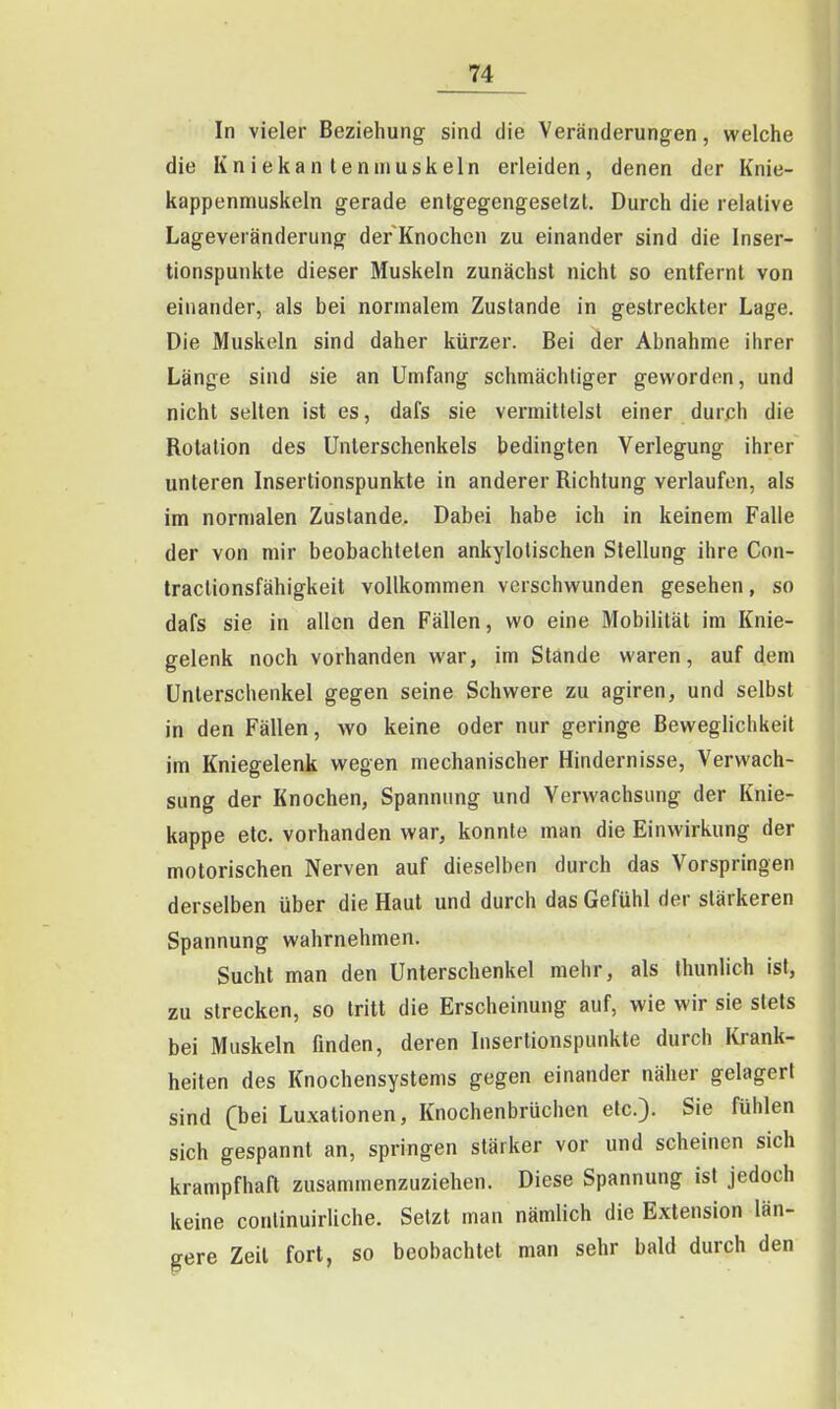 In vieler Beziehung sind die Veränderungen, welche die Kniekan leninuskeln erleiden, denen der Knie- kappenmuskeln gerade entgegengesetzt. Durch die relative Lageveränderung der Knochen zu einander sind die Inser- tionspunkte dieser Muskeln zunächst nicht so entfernt von einander, als bei normalem Zustande in gestreckter Lage. Die Muskeln sind daher kürzer. Bei der Abnahme ihrer Länge sind sie an Umfang schmächtiger geworden, und nicht selten ist es, dafs sie vermittelst einer durch die Rotation des Unterschenkels bedingten Verlegung ihrer unteren Insertionspunkte in anderer Richtung verlaufen, als im normalen Zustande. Dabei habe ich in keinem Falle der von mir beobachteten ankylotischen Stellung ihre Con- traclionsfähigkeit vollkommen verschwunden gesehen, so dafs sie in allen den Fällen, wo eine Mobilität im Knie- gelenk noch vorhanden war, im Stande waren, auf dem Unterschenkel gegen seine Schwere zu agiren, und selbst in den Fällen, wo keine oder nur geringe Beweglichkeit im Kniegelenk wegen mechanischer Hindernisse, Verwach- sung der Knochen, Spannung und Verwachsung der Knie- kappe etc. vorhanden war, konnte man die Einwirkung der motorischen Nerven auf dieselben durch das Vorspringen derselben über die Haut und durch das Gefühl der stärkeren Spannung wahrnehmen. Sucht man den Unterschenkel mehr, als tliunlich ist, zu strecken, so tritt die Erscheinung auf, wie wir sie stets bei Muskeln finden, deren Insertionspunkte durch Krank- heiten des Knochensystems gegen einander näher gelagert sind (hei Luxationen, Knochenbrüchen etc.). Sie fühlen sich gespannt an, springen stärker vor und scheinen sich krampfhaft zusammenzuziehen. Diese Spannung ist jedoch keine continuirliche. Setzt man nämlich die Extension län- gere Zeit fort, so beobachtet man sehr bald durch den