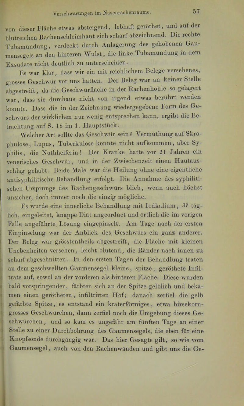 von dieser Fläche etwas absteigend, lebhaft geröthet, und auf der blutreichen Rachenschleimhaut sich scharf abzeichnend. Die rechte Tubamündung, verdeckt durch Anlagerung des gehobenen Gau- mensegels an den hinteren Wulst, die linke Tubamündung in dem Exsudate nicht deutlich zu unterscheiden. Es war klar, dass wir ein mit reichlichem Belege versehenes, grosses Geschwür vor uns hatten. Der Beleg war an keiner Stelle abgestreift, da die Geschwürfläche in der Rachenhöhle so gelagert war, dass sie durchaus nicht von irgend etwas berührt werden konnte. Dass die in der Zeichnung wiedergegebene Form des Ge- schwürs der wirklichen nur wenig entsprechen kann, ergibt die Be- trachtung auf S. 18 im 1. Hauptstück. Welcher Art sollte das Geschwür sein ? Vermuthung auf Skro- phulose, Lupus, Tuberkulose konnte nicht aufkommen, aber Sy- philis , die Nothhelferin! Der Kranke hatte vor 21 Jahren ein venerisches Geschwür, und in der Zwischenzeit einen Hautaus- schlag gehabt. Beide Male war die Heilung ohne eine eigentliche antisyphilitische Behandlung erfolgt. Die Annahme des syphiliti- schen Ursprungs des Rachengeschwürs blieb, wenn auch höchst unsicher, doch immer noch die einzig mögliche. Es wurde eine innerliche Behandlung mit lodkalium, 3P täg- lich, eingeleitet, knappe Diät angeordnet und örtlich die im vorigen Falle angeführte. Lösung eingepinselt. Am Tage nach der ersten Einpinselung war der Anblick des Geschwürs ein ganz anderer. Der Beleg war grösstentheils abgestreift, die Fläche mit kleinen Unebenheiten versehen, leicht blutend, die Ränder nach innen zu scharf abgeschnitten. In den ersten Tagen der Behandlung traten an dem geschwellten Gaumensegel kleine, spitze, geröthete Infil- trate auf, sowol an der vorderen als hinteren Fläche. Diese wurden bald vorspringender, färbten sich an der Spitze gelblich und beka- men einen gerötheten, infiltrirten Hof; danach zerfiel die gelb gefärbte Spitze, es entstand ein kraterförmiges, etwa hirsekorn- grosses Geschwürchen, dann zerfiel noch die Umgebung dieses Ge- schwürchen , und so kam es ungefähr am fünften Tage an einer Stelle zu einer Durchbohrung des Gaumensegels, die eben für eine Knopfsonde durchgängig war. Das hier Gesagte gilt, so wie vom Gaumensegel, auch von den Rachenwänden und gibt uns die Ge-
