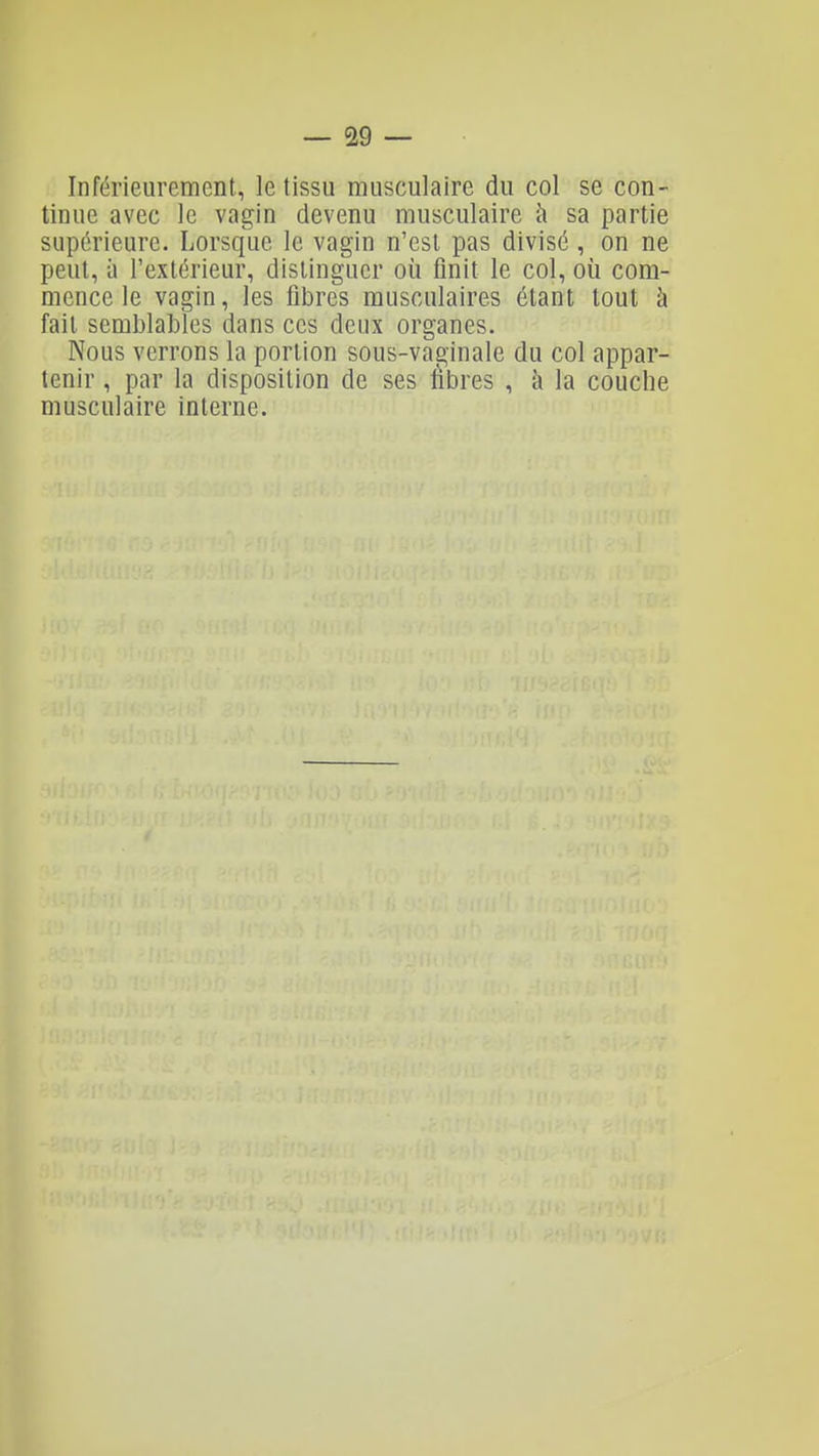 Inférieurement, le tissu musculaire du col se con- tinue avec le vagin devenu musculaire à sa partie supérieure. Lorsque le vagin n'est pas divisé, on ne peut, à l'extérieur, distinguer où finit le col, où com- mence le vagin, les fibres musculaires étant tout à fait semblables dans ces deux organes. Nous verrons la portion sous-vaginale du col appar- tenir , par la disposition de ses fibres , h la couche musculaire interne.