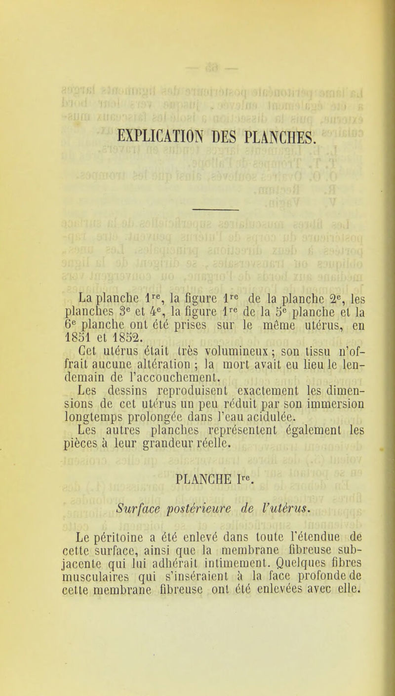 EXPLICATION DES PLANCHES. La planche l'^, la figure i^^ de la planche 2% les planches 3« et 4% la figure l'^ de la 5'^ planche et la 6 planche ont été prises sur le mônae utérus, en 1851 et 1852. Cet utérus était très volumineux ; son tissu n'of- frait aucune altération ; la mort avait eu lieu le len- demain de l'accoucheraent. Les dessins reproduisent exactement les dimen- sions de cet utérus un peu réduit par son immersion longtemps prolongée dans l'eau acidulée. Les autres planches représentent également les pièces à leur grandeur réelle. PLANCHE pe. Surface postérieure de l'utérus. Le péritoine a été enlevé dans toute l'étendue de cette surface, ainsi que la membrane fibreuse sub- jacenle qui lui adhérait intimement. Quelques fibres musculaires qui s'inséraient l\ la face profonde de cette membrane fibreuse ont été enlevées avec elle.