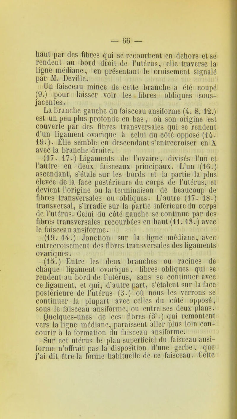 haut par des fibres qui se recourbent en dehors et se rendent au bord droit de l'utérus, elle traverse la ligne médiane, en présentant le croisement signalé par M. Deville. Un faisceau mince de celte branche a été coupé (9.) pour laisser voir les ûbres obliques sous- jacentes. La branche gauche du faisceau ansiforme (4. 8.12.) est un peu plus profonde en bas, où son origine est couverte par des fibres transversales qui se rendent d'un ligament ovarique à celui du côté opposé (14. 19.). Elle semble en descendant s'entrecroiser en X avec la branche droite. (17. 17.) Ligaments de l'ovaire, divisés l'un et l'autre en deux faisceaux principaux. L'un (16.) ascendant, s'étale sur les bords et la partie la plus élevée de la face postérieure du corps de l'utérus, et devient l'origine ou la terminaison de beaucoup de fibres transversales on obliques. L'autre (17. 18.) transversal, s'irradie sur la partie inférieure du corps de l'utérus. Celui du côté gauche se continue par des fibres transversales recourbées en haut (11.13.) avec le faisceau ansiforme. (19. 14.) Jonction sur la ligne médiane, avec entrecroisement des fibres transversales des ligaments ovariques. (15.) Entre les deux branches ou racines de chaque ligament ovarique, fibres obliques qui se rendent au bord de l'utérus, sans se continuer avec ce hgament, et qui, d'autre part, s'étalent sur la face postérieure de futérus (3.) où nous les verrons se continuer la plupart avec celles du côté opposé, sous le faisceau ansiforme, ou entre ses deux plans. Quelques-unes de ces fibres (3'.) qui remontent vers la ligne médiane, paraissent aller plus loin con- courir h la formation du faisceau ansiforme. Sur cet utérus le plan superficiel du faisceau ansi- forme n'offrait pas la disposition d'une gerbe , que j'ai dit être la forme habituelle de ce faisceau. Cette