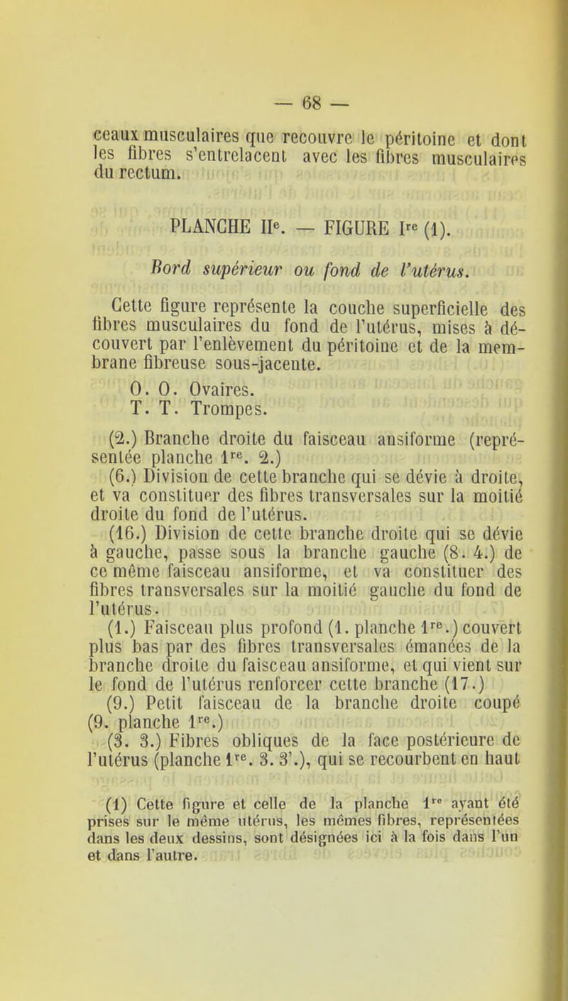 ceaux musculaires que recouvre le péritoine et dont les fibres s'entrelacent avec les fiijrcs musculaires du rectum. PLANCHE — FIGURE (1). Bord supérieur ou fond de l'utérus. Cette figure représente la couche superficielle des fibres musculaires du fond de l'utérus, mises à dé- couvert par l'enlèvement du péritoine et de la mem- brane fibreuse sous-jacente. 0. 0. Ovaires. T. T. Trompes. (2.) Brandie droite du faisceau ansiforme (repré- sentée planche 2.) (6.) Division de cette branche qui se dévie à droite, et va constituer des fibres transversales sur la moitié droite du fond de l'utérus. (16.) Division de cette branche droite qui se dévie à gauche, passe sous la branche gauche (8. 4.) de ce môme faisceau ansiforme, et va constituer des fibres transversales sur la moitié gauche du fond de l'utérus. (1.) Faisceau plus profond (1. planche l^.) couvert plus bas par des fibres transversales émanées de la branche droite du faisceau ansiforme, et qui vient sur le fond de l'utérus renforcer cette branche (17.) (9.) Petit faisceau de la branche droite coupé (9. planche !'•«.) (3. 3.) Fibres obliques de la face postérieure de l'utérus (planche l^^. 3. 3'.), qui se recourbent en haut (1) Cette figure et celle de la planche 1 ayant été prises sur le même utérus, les mêmes fibres, représentées dans les deux dessins, sont désignées ici à la fois dans Vùa et dans l'autre.