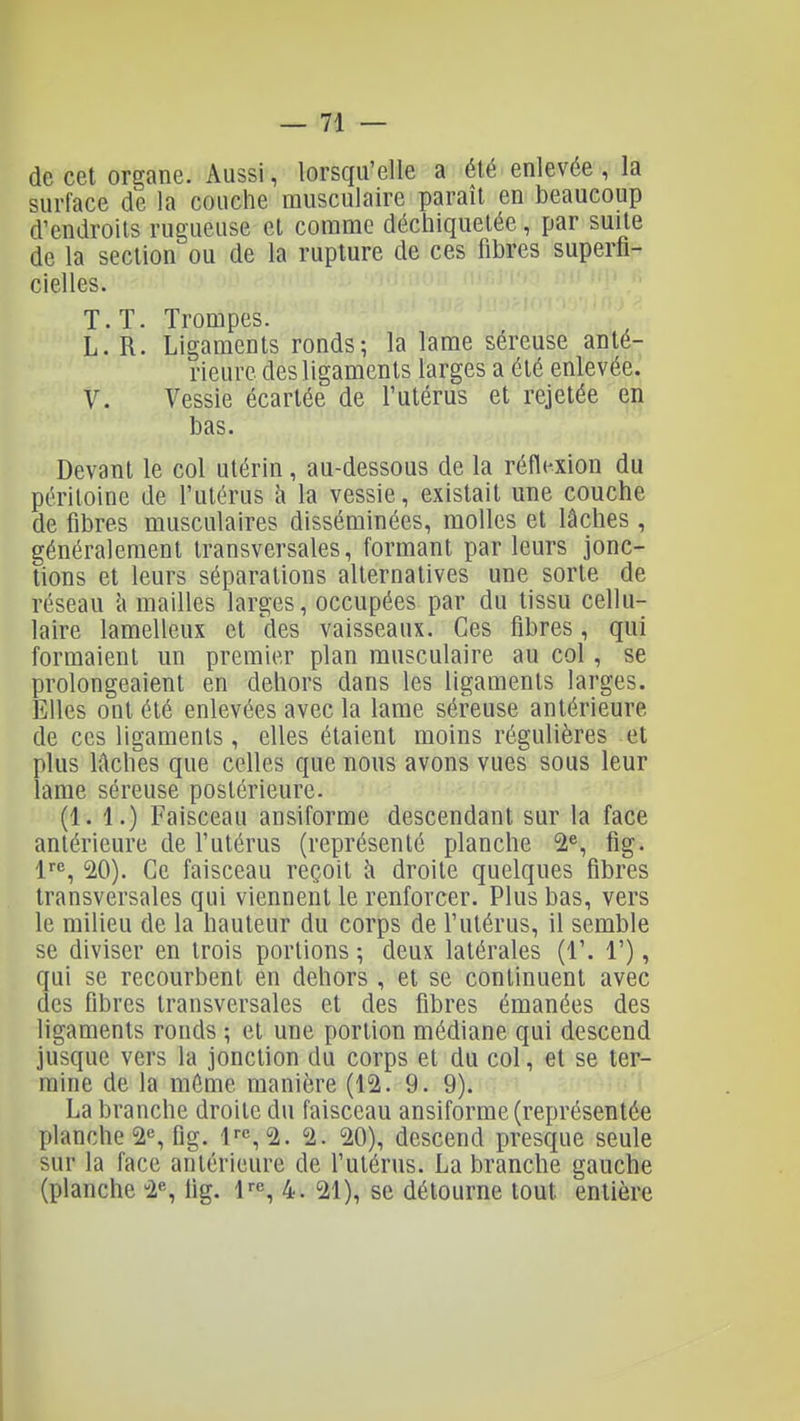 de cet organe. Aussi, lorsqu'elle a été enlevée , la surlace de la couche musculaire paraît en beaucoup d'endroits rugueuse et comme déciiiquelée, par suite de la section ou de la rupture de ces fibres superfi- cielles. T. T. Trompes. L. R. Ligaments ronds; la lame séreuse anté- rieure des ligaments larges a été enlevée. V. Vessie écartée de l'utérus et rejetée en bas. Devant le col utérin, au-dessous de la réflexion du péritoine de l'utérus h la vessie, existait une couche de fibres musculaires disséminées, molles et lâches , généralement transversales, formant par leurs jonc- tions et leurs séparations alternatives une sorte de réseau \\ mailles larges, occupées par du tissu cellu- laire lamelleux et des vaisseaux. Ces fibres, qui formaient un premier plan musculaire au col, se prolongeaient en dehors dans les ligaments larges. Elles ont été enlevées avec la lame séreuse antérieure de ces ligaments, elles étaient moins régulières et plus Iftches que celles que nous avons vues sous leur lame séreuse postérieure. (1. 1.) Faisceau ansiforme descendant sur la face antérieure de l'utérus (représenté planche fig. 20). Ce faisceau reçoit à droite quelques fibres transversales qui viennent le renforcer. Plus bas, vers le milieu de la hauteur du corps de l'utérus, il semble se diviser en trois portions -, deux latérales (1'. 1'), qui se recourbent en dehors , et se continuent avec des fibres transversales et des fibres émanées des ligaments ronds ; et une portion médiane qui descend jusque vers la jonction du corps et du col, et se ter- mine de la môme manière (12. 9. 9). , -m* i La branche droite du faisceau ansiforme (représentée planche 2% fig. l''',^. 2. 20), descend presque seule sur la face antérieure de l'utérus. La branche gauche (planche 'i'', fig. 1^, 4. 21), se détourne tout entière