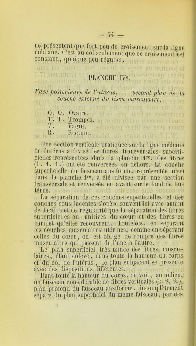 ne présentent que fort peu de croisement sur la ligne médiane. C'est au col seulement que ce croisement est constant, quoique peu régulier. PLANCHE IV«. Face postérieure de l'utérus. — Second plan de la couche externe du tissu musculaire. 0. 0. Ovaire. T. T. Trompes. V. Vagin. R. Rectum. 'il!! Une section verticale pratiquée sur la ligne médiane de l'utérus a divisé les fibres transversales superfi- cielles représentées dans la planche l'. Ces fibres (1. 1. 1.) ont été renversées en dehors. La couche superficielle du faisceau ansiforme, représentée aussi dans la planche 1'''^, a été divisée par une section transversale et renversée en avant sur le fond de l'u^ t^rus. M La séparation de ces couches superficielles et des couches sous-jacentes s'opère souvent ici avec autant de facilité et de régularité que la séparation des fibres superficielles ou unitives du cœur et des fibres en barillet qu'elles recouvrent. Toutefois, en séparant les couches musculaires utérines, comme en séparant celles du cœur, on est obligé de rompre des fibres musculaires qui passent de Tune à l'autre. Le plan superficiel très mince des fibres muscu- laires, étant enlevé, dans toute la hauteur du corps et du col de l'utérus, le plan subjacent se présente avec des dispositions différentes. ' Dans toute la hauteur du corps, on voit, au milieu, un faisceau considérable de fibres verticales (2. i2. 2.), plan profond du faisceau ansiforme, incomplètement séparé du plan superficiel du môme faisceau, par des