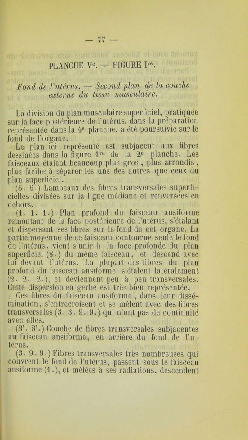 — 11 — PLANCHE V«. — FIGURE P^. Fond de l'utérus. — Second plan de la couche externe du tissu musculaire. La division du plan musculaire superficiel, pratiquée sur la face postérieure de l'utérus, dans la préparation représentée dans la ¥ planche, a été poursuivie sur le fond de l'organe. Le plan ici représenté est subjacent aux fibres dessinées dans la figure l'« de la 2« planche. Les faisceaux étaient beaucoup plus gros , plus arrondis, plus faciles h séparer les uns des autres que ceux du plan superficiel. (6. 6.) Lambeaux des fibres transversales superfi- cielles divisées sur la ligne médiane et renversées en dehors. (1 1. 1.) Plan profond du faisceau ansiforme remontant de la face postérieure de l'utérus, s'étalant et dispersant ses fibres sur le fond de cet organe. La partie moyenne de ce faisceau contourne seule le fond de l'utérus, vient s'unir à la face profonde du plan superficiel (8.) du mÔQie faisceau, et descend avec lui devant l'utérus. La plupart des fibres du plan profond du faisceau ansiforme s'étalent latéralement (2. 2. 2.), et deviennent peu à peu transversales. Cette dispersion en gerbe est très bien représentée. Ces fibres du faisceau ansiforme, dans leur dissé- mination, s'entrecroisent et se mêlent avec des fibres transversales (3. 3. 9. 9.) qui n'ont pas de continuité avec elles. (S'. 8'.) Couche de fibres transversales subjacentes au faisceau ansiforme, en arrière du fond de l'u- térus. (3. 9. 9.) Fibres transversales très nombreuses qui couvrent le fond de l'utérus, passent sous le faisceau ansiforme (1.), et mêlées à ses radiations, descendent I