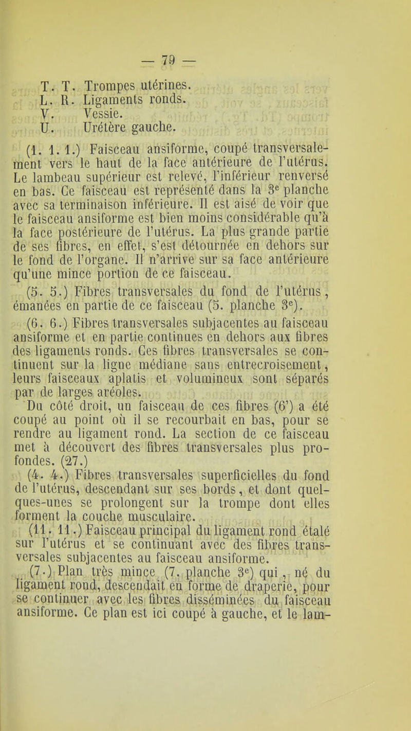 T. T. Trompes utérines. L. R. Ligaments ronds. V. Vessie. U. Uretère gauche. (1. 1.1.) Faisceau ansiforme, coupé transversale- ment vers le haut de la face antérieure de Futérus. Le lambeau supérieur est relevé, l'inférieur renversé en bas. Ce faisceau est représenté dans la 3« planche avec sa terminaison inférieure. Il est aisé de voir que le faisceau ansiforme est bien moins considérable qu'à la face postérieure de l'utérus. La plus grande partie de ses fibres, en effet, s'est détournée en dehors sur le fond de l'organe. Il n'arrive sur sa face antérieure qu'une mince portion de ce faisceau. (5. 3.) Fibres transversales du fond de l'utérus, émanées en partie de ce faisceau (5. planche 3«). (6. 6.) Fibres transversales subjacentes au faisceau ansiforme et en partie continues en dehors aux fibres des ligaments ronds. Ces fibres transversales se con- tinuent sur la hgne médiane sans entrecroisement, leurs faisceaux aplatis et volumineux sont séparés par de larges aréoles. Du côté droit, un faisceau de ces fibres (6') a été coupé au point où il se recourbait en bas, pour se rendre au ligament rond. La section de ce faisceau met à découvert des fibres transversales plus pro- fondes. (27.) (4. 4.) Fibres transversales superficielles du fond de l'utérus, descendant sur ses bords, et dont quel- ques-unes se prolongent sur la trompe dont elles forment la couche musculaire. (11. 11.) Faisceau principal dû ligament rond étalé sur l'utérus et se continuant avec des fibres trans- versales subjacentes au faisceau ansiforme. (7.) Plan très mince (7. planche 3«) qui, né du ligament rond, descendait eu forme de draperie, pour ^86 continuer avec les fibres disséminées du faisceau ansiforme. Ce plan est ici coupé à gauche, et le lam-