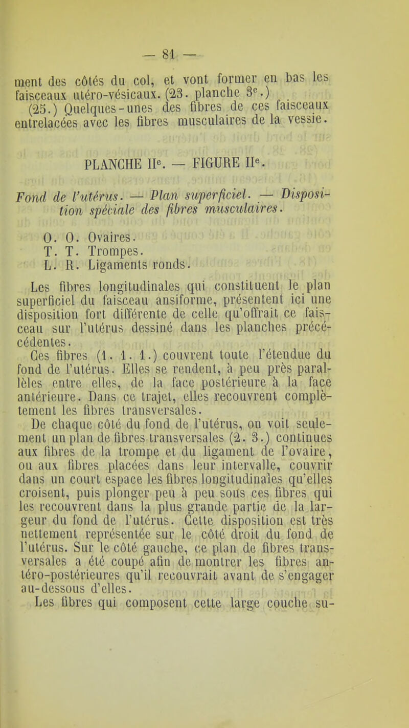 ment des côtés du col, et vont former en bas les faisceaux uléro-vésicaux. (23. planche S.) (-25.) Quelques-unes des fibres de ces faisceaux entrelacées avec les fibres musculaires de la vessie. PLANCHE IP. — FIGURE Fond de l'utérus. — Vlan superficiel. — Disposi- tion spéciale des fibres musculaires. 0. 0. Ovaires. T. T. Trompes. L. R. Ligaments ronds. Les fibres longitudinales qui constituent le plan superficiel du faisceau ansiforme, présentent ici une disposition fort différente de celle qu'offrait ce fais- ceau sur l'utérus dessiné dans les planches précé- cédentes. Ces fibres (1. 1. 1.) couvrent toute l'étendue du fond de l'utérus. Elles se rendent, à peu près paral- lèles entre elles, de la face postérieure à la face antérieure. Dans ce trajet, elles recouvrent complè- tement les fibres transversales. De chaque côté du fond de l'utérus, on voit seule- ment un plan défibres transversales (2. 3.) continues aux fibres de la trompe et du ligament de l'ovaire, ou aux fibres placées dans leur intervalle, couvrir dans un court espace les fibres longitudinales qu'elles croisent, puis plonger peu h peu sous ces fibres qui les recouvrent dans la plus grande partie de la lar- geur du fond de l'utérus. Celte disposition est très nettement représentée sur le côté droit du fond de l'utérus. Sur le côté gauche, ce plan de fibres trans- versales a été coupé afin de montrer les fibres an- téro-postérieures qu'il recouvrait avant de s'engager au-dessous d'elles. Les fibres qui composent