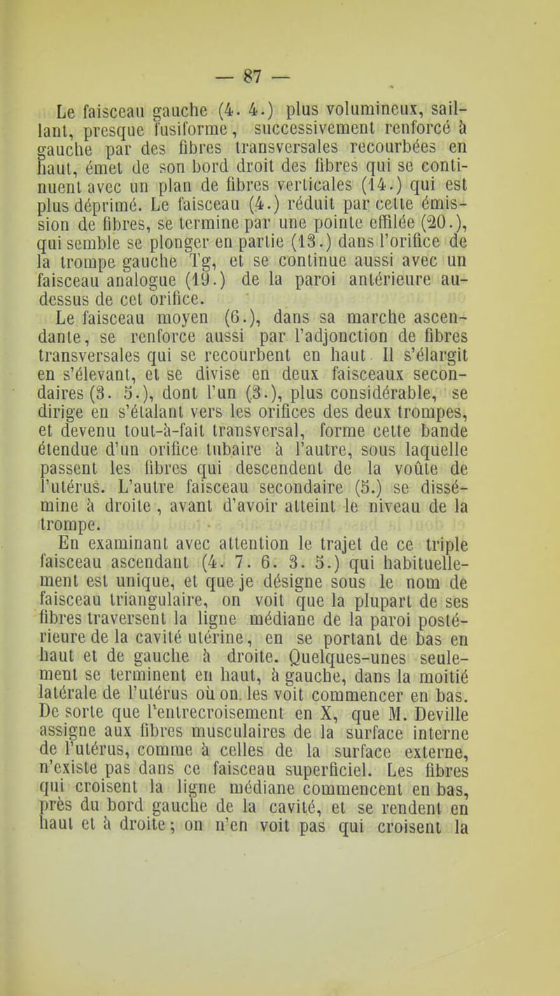 Le faisceau gauche (4. 4.) plus volumineux, sail- lant, presque ïusilorme, successivement renforcé à gauche par des fibres transversales recourbées en fiaut, émet de son bord droit des fibres qui se conti- nuent avec un plan de fibres verticales (14.) qui est plus déprimé. Le faisceau (4.) réduit par cette émis- sion de fibres, se termine par une pointe effilée (20.), qui semble se plonger en partie (13.) dans l'orifice de la trompe gauche Tg, et se continue aussi avec un faisceau analogue (19.) de la paroi antérieure au- dessus de cet orifice. Le faisceau moyen (6.), dans sa marche ascen- dante, se renforce aussi par l'adjonction de fibres transversales qui se recourbent en haut II s'élargit en s'élevanl, et se divise en deux faisceaux secon- daires (3. 0.), dont l'un (.3.), plus considérable, se dirige en s'élalanl vers les orifices des deux trompes, et devenu tout-h-fait transversal, forme cette bande étendue d'un orifice tubaire à l'autre, sous laquelle passent les fibres qui descendent de la voûte de l'utérus. L'autre faisceau secondaire (5.) se dissé- mine cl droite , avant d'avoir atteint le niveau de la trompe. En examinant avec attention le trajet de ce triple faisceau ascendant (4. 7. 6. 3. 5.) qui habituelle- ment est unique, et que je désigne sous le nom de faisceau triangulaire, on voit que la plupart de ses fibres traversent la ligne médiane de la paroi posté- rieure de la cavité utérine, en se portant de bas en haut et de gauche h droite. Quelques-unes seule- ment se terminent en haut, à gauche, dans la moitié latérale de l'utérus où on. les voit commencer en bas. De sorte que Tentrecroisement en X, que M. Deville assigne aux fibres musculaires de la surface interne de l'utérus, comme k celles de la surface externe, n'existe pas dans ce faisceau superficiel. Les fibres qui croisent la ligne médiane commencent en bas, près du bord gauche de la cavité, et se rendent en haut et h droite ; on n'en voit pas qui croisent la