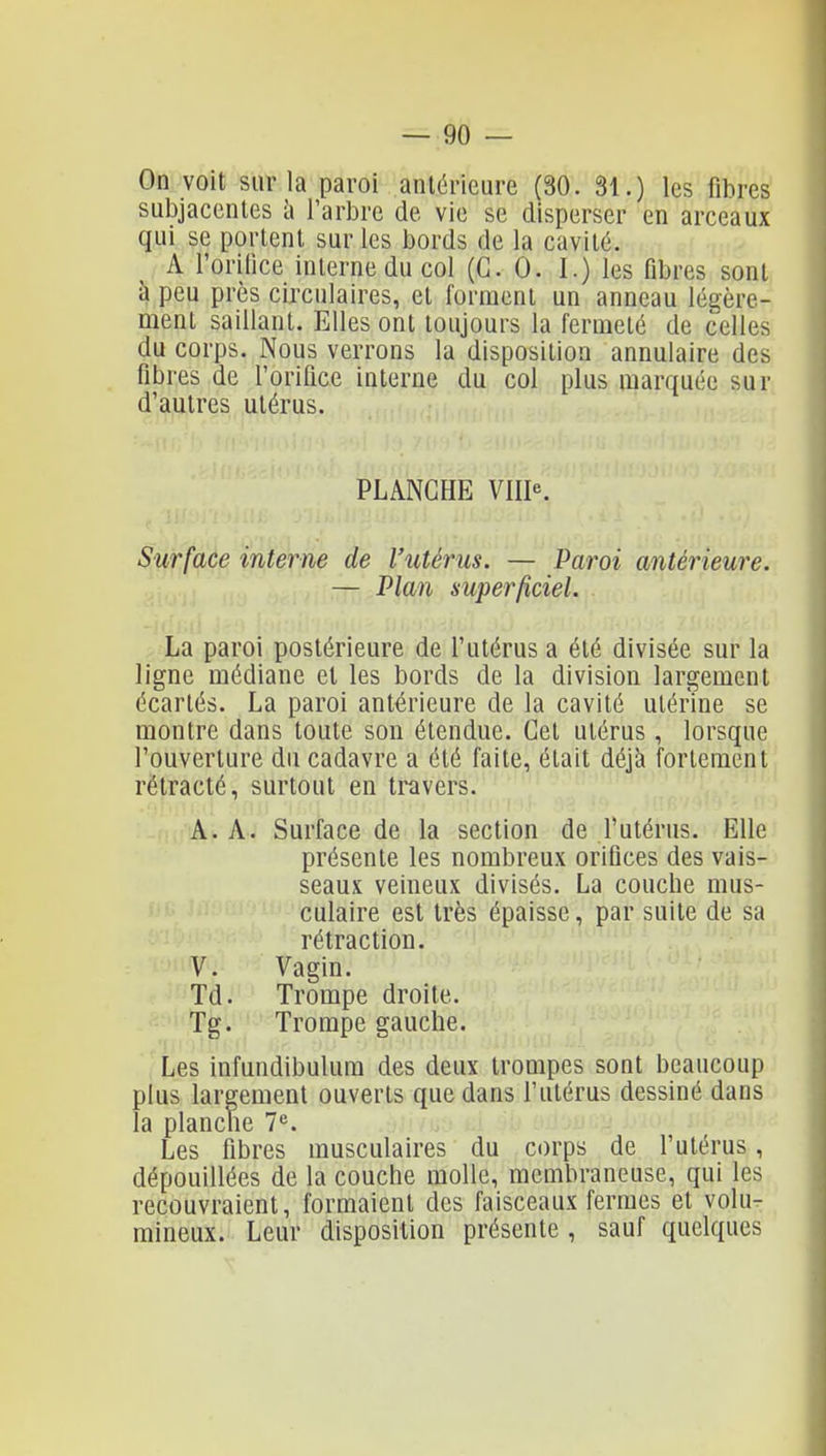 On voit sur la paroi antérieure (30. 31.) les fibres subjacentes à l'arbre de vie se disperser en arceaux qui se portent sur les bords de la cavité. A rorilice interne du col (G. 0. I.) les fibres sont à peu près circulaires, et forment un anneau légère- ment saillant. Elles ont toujours la fermeté de celles du corps. Nous verrons la disposition annulaire des fibres de roriûce interne du col plus marquée sur d'autres utérus. PLANCHE Ville. Swface interne de l'utérus. — Paroi antérieure. — Plan superficiel. La paroi postérieure de l'utérus a été divisée sur la ligne médiane et les bords de la division largement écartés. La paroi antérieure de la cavité utérine se montre dans toute son étendue. Cet utérus, lorsque l'ouverture du cadavre a été faite, était déjà fortement rétracté, surtout en travers. A. A. Surface de la section de f utérus. Elle présente les nombreux orifices des vais- seaux veineux divisés. La couche mus- culaire est très épaisse, par suite de sa rétraction. V. Vagin. Td. Trompe droite. Tg. Trompe gauche. Les infundibulura des deux trompes sont beaucoup plus largement ouverts que dans l'utérus dessiné dans la planche 7. Les fibres musculaires du corps de l'utérus, dépouillées de la couche molle, membraneuse, qui les recouvraient, formaient des faisceaux fermes et volu- mineux. Leur disposition présente , sauf quelques