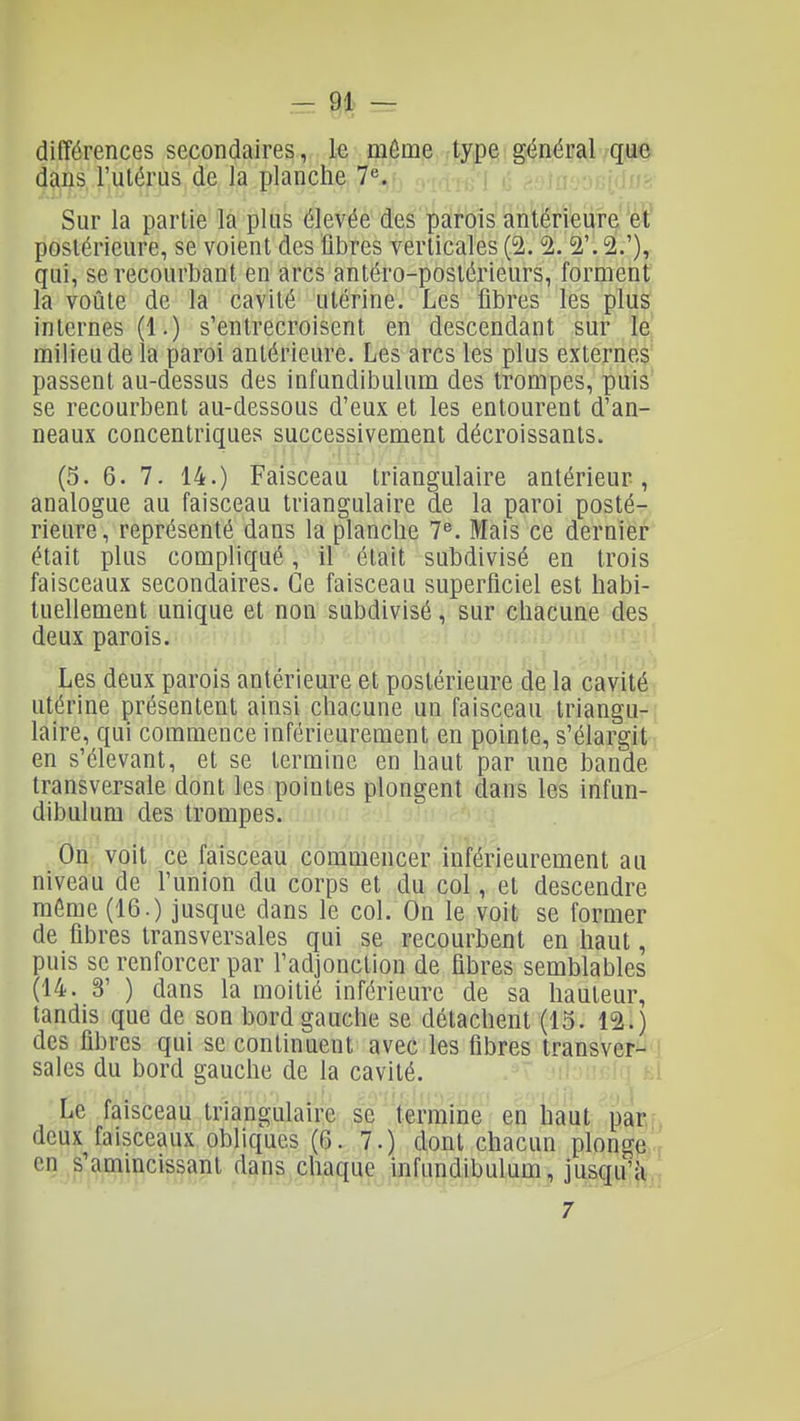 différences secondaires, le môme type général que dans l'utérus de la planche 7«. Sur la partie la plus élevée des parois antérieure'et' postérieure, se voient des libres verticales (2. 2. 2'. 2.'), qui, se recourbant en arcs antéro-poslérieurs, forment la voûte de la cavité utérine. Les fibres les plus internes (1.) s'entrecroisent en descendant sur le milieu de la paroi antérieure. Les arcs les plus externes passent au-dessus des infundibulum des trompes, puis se recourbent au-dessous d'eux et les entourent d'an- neaux concentriques successivement décroissants. (5. 6. 7. 14.) Faisceau triangulaire antérieur, analogue au faisceau triangulaire de la paroi posté- rieure, représenté dans la planche 7^. Mais ce dernier était plus compliqué, il était subdivisé en trois faisceaux secondaires. Ce faisceau superficiel est habi- tuellement unique et non subdivisé, sur chacune des deux parois. Les deux parois antérieure et postérieure de la cavité utérine présentent ainsi chacune un faisceau triangu-: laire, qui commence inféricurement en pointe, s'élargit en s'élevant, et se termine en haut par une bande transversale dont les pointes plongent dans les infun- dibulum des trompes. On voit ce faisceau commencer inféricurement au niveau de l'union du corps et du col, et descendre même (16.) jusque dans le col. On le voit se former de fibres transversales qui se recourbent en haut, puis se renforcer par l'adjonction de fibres semblables (14. 3' ) dans la moitié inférieure de sa hauteur, tandis que de son bord gauche se détachent (15. 12.) des fibres qui se continuent avec les fibres transver- sales du bord gauche de la cavité. Le faisceau triangulaire se termine en haut par deux faisceaux obliques (6. 7.) dont chacun plonge en s'amincissant dans chaque infundibulum, jusqu'à • 7