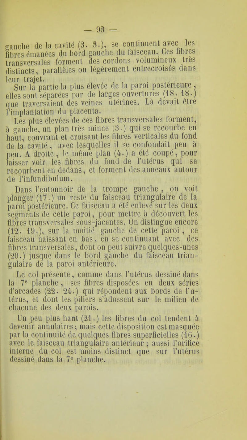 p-auchc de la cavité {3. 3.), se continuent avec les fibres émanées du bord gauche du faisceau. Ces libres transversales forment des cordons volumineux très distincts, parallèles ou légèrement entrecroisés dans leur trajet. , , , Sur la partie la plus élevée de la paroi postérieure , elles sont séparées par de larges ouvertures (18. 18.) que traversaient des veines utérines. Là devait être l'implantation du placenta. Les plus élevées de ces fibres transversales forment, il gauche, un plan très mince (3.) qui se recourbe en haut, couvrant et croisant les fibres verticales du fond de la cavité, avec lesquelles il se confondait peu à peu. A droite, le même plan (4.) a été coupé, pour laisser voir les fibres du fond de f utérus qui se recourbent en dedans, et forment des anneaux autour de l'infundibulum. Dans f entonnoir de la trompe gauche , on voit plonger (17.) un reste du faisceau triangulaire de la paroi postérieure. Ce faisceau a été enlevé sur les deux segments de cette paroi, pour mettre h découvert les fibres transversales sous-jacentes. On distingue encore (12. 19.), sur la moitié gauche de cette paroi, ce faisceau naissant en bas, en se continuant avec des fibres transversales, dont on peut suivre quelques-unes (20.) jusque dans le bord gauche du faisceau trian- gulaire de la paroi antérieure. Le col présente, comme dans l'utérus dessiné dans la 7 planche, ses fibres disposées en deux séries d'arcades (22. 24.) qui répondent aux bords de l u- térus, et dont les piliers s'adossent sur le milieu de chacune des deux parois. Un peu plus haut (21.) les fibres du col tendent à devenir annulaires; mais cette disposition est masquée I par la continuité de quelques fibres superficielles (16.) avec le faisceau triangulaire antérieur ; aussi l'orifice interne du col est moins distinct que sur fulérus dessiné dans la 1^ planche. I