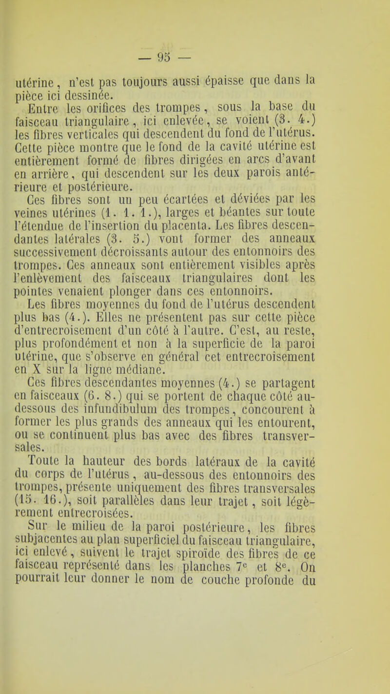 utérine, n'est pas toujours aussi épaisse que dans la pièce ici dessinée. Entre les orifices des trompes, sous la base du faisceau triangulaire, ici enlevée, se voient (3. 4.) les fibres verticales qui descendent du fond de l'utérus. Cette pièce montre que le fond de la cavité utérine est entièrement formé de fibres dirigées en arcs d'avant en arrière, qui descendent sur les deux parois anté- rieure et postérieure. Ces fibres sont un peu écartées et déviées par les veines utérines (1. 1. 1.), larges et béantes sur toute rétendue de l'insertion du placenta. Les fibres descen- dantes latérales (3. 5.) vont former des anneaux successivement décroissants autour des entonnoirs des trompes. Ces anneaux sont entièrement visibles après l'enlèvement des faisceaux triangulaires dont les pointes venaient plonger dans ces entonnoirs. Les fibres moyennes du fond de l'utérus descendent plus bas (4.). Elles ne présentent pas sur cette pièce d'entrecroisement d'un côté à l'autre. C'est, au reste, plus profondément et non h la superficie de la paroi utérine, que s'observe en général cet entrecroisement en X sur la ligne médiane. Ces fibres descendantes moyennes (4.) se partagent en faisceaux (6. 8.) qui se portent de chaque côté au- dessous des infundibulum des trompes, concourent à former les plus grands des anneaux qui les entourent, ou se continuent plus bas avec des fibres transver- sales. Toute la hauteur des bords latéraux de la cavité du corps de l'utérus, au-dessous des entonnoirs des trompes, présente uniquement des fibres transversales (lo. 16.), soit parallèles dans leur trajet, soit légè- rement entrecroisées. Sur le milieu de la paroi postérieure, les fibres subjacentes au plan superficiel du faisceau triangulaire, ici enlevé, suivent le trajet spiroïde des fibres de ce faisceau représenté dans les planches 7*^ et 8^. On pourrait leur donner le nom de couche profonde du