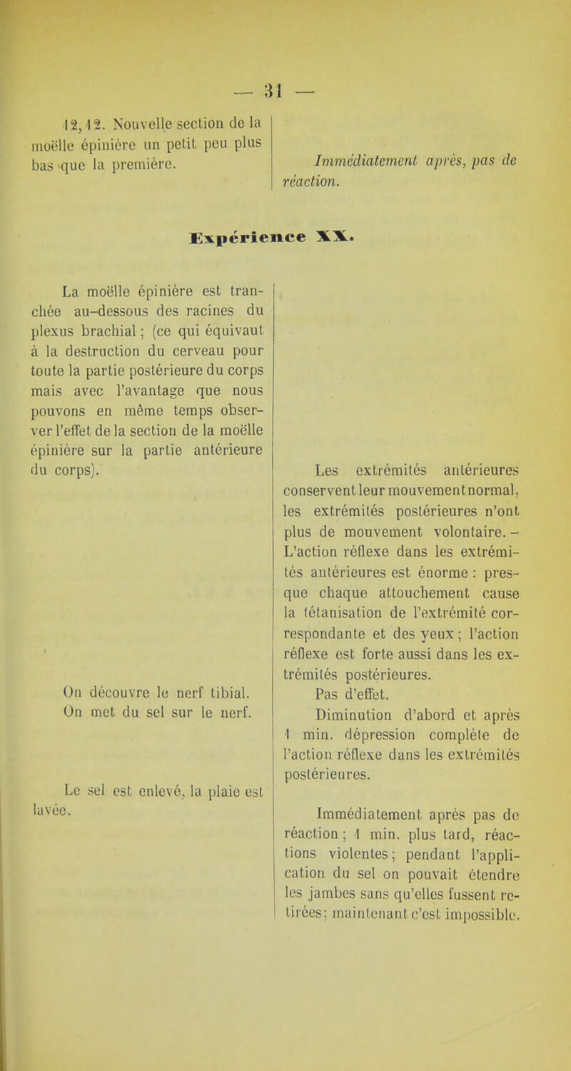 12,12. Nouvelle section de la moelle épinière an petit peu plus bas que la première. Immédiatement, après, pas de réaction. Expérience XX. La moelle épinière est tran- chée au-dessous des racines du plexus brachial ; (ce qui équivaut à la destruction du cerveau pour toute la partie postérieure du corps mais avec l'avantage que nous pouvons en même temps obser- ver l'effet de la section de la moelle épinière sur la partie antérieure du corps). On découvre le nerf tibial. On met du sel sur le nerf. Le sel est enlevé, la plaie est lavée. Les extrémités antérieures conservent leur mouvementnormal, les extrémités postérieures n'ont plus de mouvement volontaire.- L'action réflexe dans les extrémi- tés antérieures est énorme : pres- que chaque attouchement cause la tétanisation de l'extrémité cor- respondante et des yeux; l'action réflexe est forte aussi dans les ex- trémités postérieures. Pas d'effet. Diminution d'abord et après 1 min. dépression complète do l'action réflexe dans les extrémités postérieures. Immédiatement après pas de réaction ; 1 min. plus lard, réac- tions violentes; pendant l'appli- cation du sel on pouvait étendre les jambes sans qu'elles fussent re- tirées: maintenanl c'est impossible.