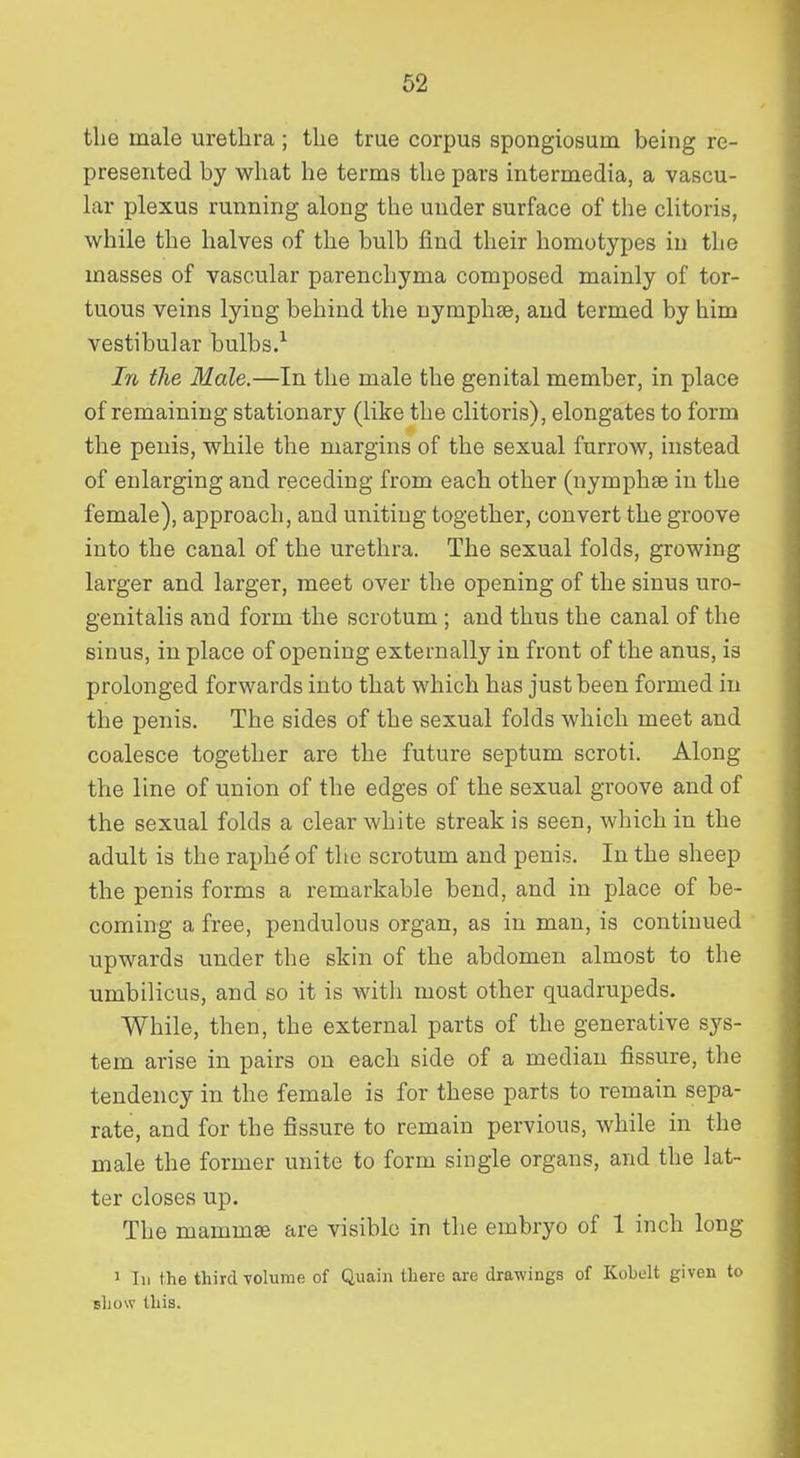 the male urethra ; the true corpus spongiosum being re- presented by what he terms the pars intermedia, a vascu- lar plexus running along the under surface of the clitoris, while the halves of the bulb find their homotypes in the masses of vascular parenchyma composed mainly of tor- tuous veins lying behind the uymphee, and termed by him vestibular bulbs.^ In the Male.—In the male the genital member, in place of remaining stationary (like the clitoris), elongates to form the penis, while the margins of the sexual furrow, instead of enlarging and receding from each other (nymphse in the female), approach, and uniting together, convert the groove into the canal of the urethra. The sexual folds, growing larger and larger, meet over the opening of the sinus uro- genitalis and form the scrotum ; and thus the canal of the sinus, in place of opening externally in front of the anus, is prolonged forwards into that which has just been formed in the penis. The sides of the sexual folds which meet and coalesce together are the future septum scroti. Along the line of union of the edges of the sexual groove and of the sexual folds a clear white streak is seen, which in the adult is the raphe of the scrotum and penis. In the sheep the penis forms a remarkable bend, and in place of be- coming a free, pendulous organ, as in man, is continued upwards under the skin of the abdomen almost to the umbilicus, and so it is with most other quadrupeds. While, then, the external parts of the generative sys- tem arise in pairs on each side of a median fissure, the tendency in the female is for these parts to remain sepa- rate, and for the fissure to remain pervious, while in the male the former unite to form single organs, and the lat- ter closes up. The mammae are visible in the embryo of 1 inch long 1 III the third Tolume of Quain there are drawings of Kohdt given to show this.