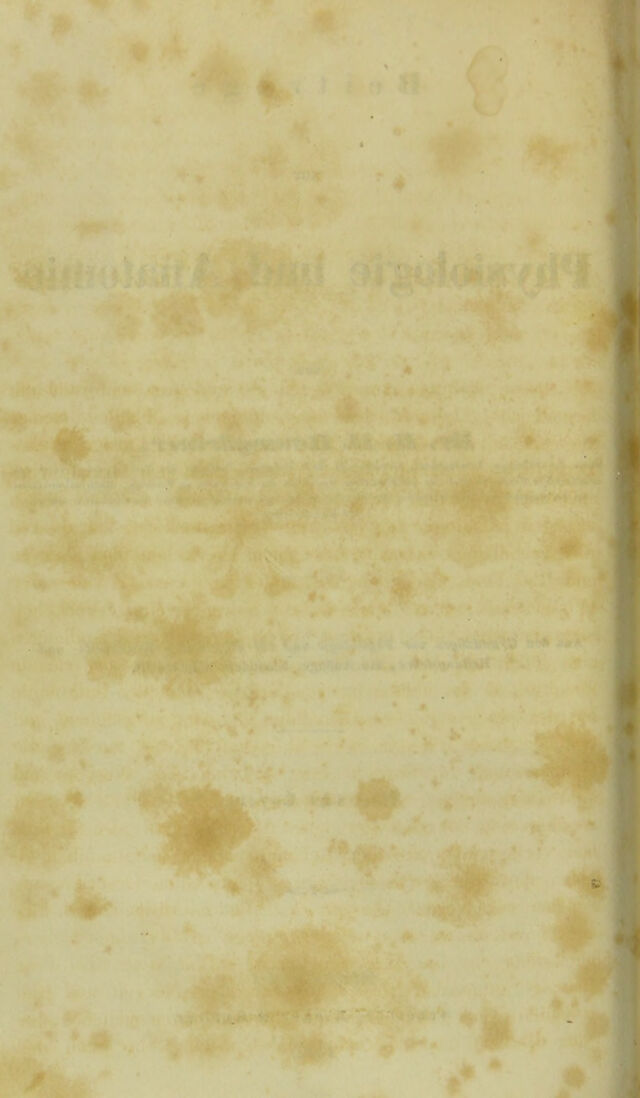 digitised image 2