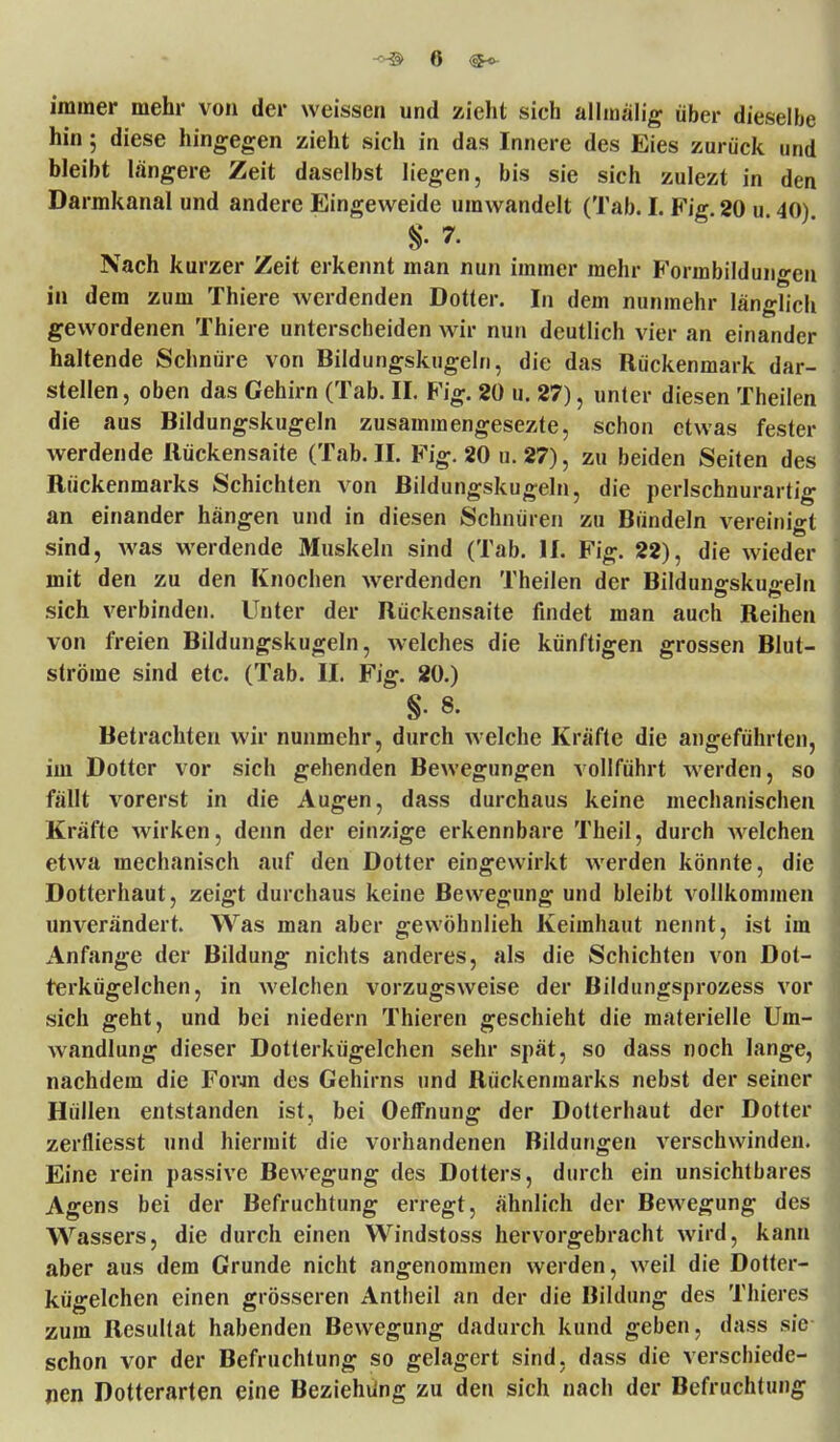 immer mehr von der weissen und zieht sich allmälig über dieselbe hin; diese hingegen zieht sich in das Innere des Eies zurück und bleibt längere Zeit daselbst liegen, bis sie sich zulezt in den Darmkanal und andere Eingeweide umwandelt (Tab. I. Fig 20 u 40) §. 7. Nach kurzer Zeit erkennt man nun immer mehr Forinbildungen in dem zum Thiere werdenden Dotter. In dem nunmehr länglich gewordenen Thiere unterscheiden wir nun deutlich vier an einander haltende Schnüre von Bildungskugeln, die das Rückenmark dar- stellen, oben das Gehirn (Tab. II. Fig. 20 u. 27), unter diesen Theilen die aus Bildungskugeln zusammengesezte, schon etwas fester werdende Ilückensaite (Tab. II. Fig. 20 u. 27), zu beiden Seiten des Rückenmarks Schichten von Bildungskugeln, die perlschnurartig an einander hängen und in diesen Schnüren zu Bündeln vereinigt sind, was werdende Muskeln sind (Tab. II. Fig. 22), die wieder mit den zu den Knochen werdenden Theilen der Bildungskugeln sich verbinden. Unter der Rückensaite findet man auch Reihen von freien Bildungskugeln, welches die künftigen grossen Blut- ströme sind etc. (Tab. II. Fig. 20.) §• 8. Betrachten wir nunmehr, durch welche Kräfte die angeführten, im Dotter vor sich gehenden Bewegungen vollführt werden, so fällt vorerst in die Augen, dass durchaus keine mechanischen Kräfte wirken, denn der einzige erkennbare Theil, durch welchen etwa mechanisch auf den Dotter eingewirkt werden könnte, die Dotterhaut, zeigt durchaus keine Bewegung und bleibt vollkommen unverändert. Was man aber gewöhnlieh Keimhaut nennt, ist im Anfange der Bildung nichts anderes, als die Schichten von Dot- terkügelchen, in welchen vorzugsweise der Bildungsprozess vor sich geht, und bei niedern Thieren geschieht die materielle Um- wandlung dieser Dotterkügelchen sehr spät, so dass noch lange, nachdem die Form des Gehirns und Rückenmarks nebst der seiner Hüllen entstanden ist, bei Oelfnung der Dotterhaut der Dotter zerfliesst und hiermit die vorhandenen Bildungen verschwinden. Eine rein passive Bewegung des Dotters, durch ein unsichtbares Agens bei der Befruchtung erregt, ähnlich der Bewegung des Wassers, die durch einen Windstoss hervorgebracht wird, kann aber aus dem Grunde nicht angenommen werden, weil die Dotter- kügelchen einen grösseren Antheil an der die Bildung des Thieres zum Resultat habenden Bewegung dadurch kund geben, dass sie schon vor der Befruchtung so gelagert sind, dass die verschiede- nen Dotterarten eine Beziehung zu den sich nach der Befruchtung