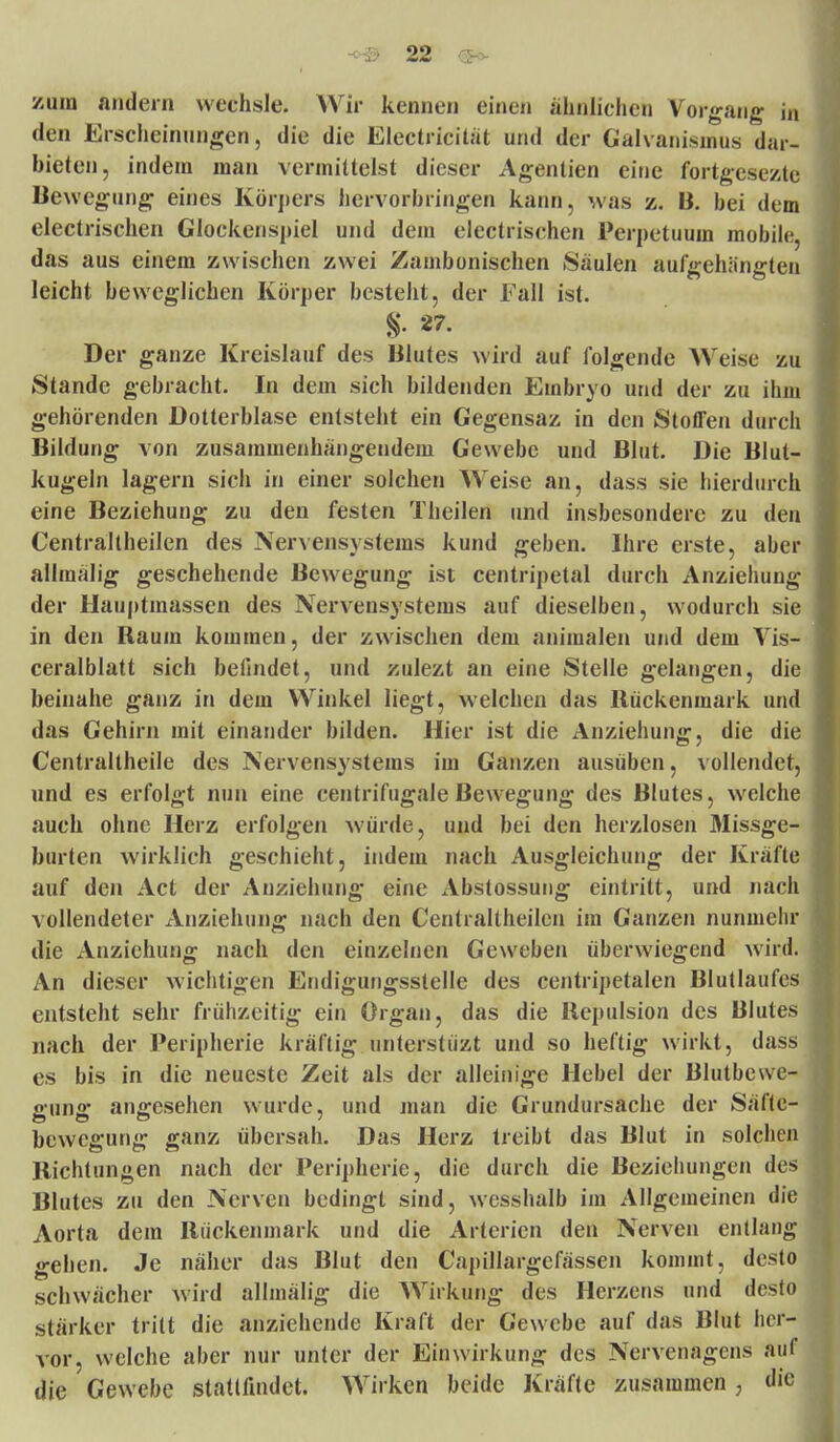 /um andern wechsle. Wir kennen einen ähnlichen Vorgang in den Erscheinungen, die die Electricit.it und der Galvanismus dar- bieten, indem man vermittelst dieser Agentien eine fortgesezte Bewegung eines Körpers hervorbringen kann, was z. B. bei dem electrischen Glockenspiel und dem electrischen Perpetuum mobile, das aus einem zwischen zwei Zambonischen Säulen aufgehängten leicht beweglichen Körper besteht, der Fall ist. §. 27. Der ganze Kreislauf des Blutes wird auf folgende Weise zu Stande gebracht. In dem sich bildenden Embryo und der zu ihm gehörenden Dotterblase entsteht ein Gegensaz in den StotTen durch Bildung von zusammenhängendem Gewebe und Blut. Die BIul- kugeln lagern sich in einer solchen Weise an, dass sie hierdurch eine Beziehung zu den festen Theilen und insbesondere zu den Centraltheilen des Nervensystems kund geben. Ihre erste, aber allraälig geschehende Bewegung ist centripetal durch Anziehung der Hauptmassen des Nervensystems auf dieselben, wodurch sie in den Baum kommen, der zwischen dem animalen und dem Vis- ceralblatt sich befindet, und zulezt an eine Stelle gelangen, die beinahe ganz in dem Winkel liegt, welchen das Rückenmark und das Gehirn mit einander bilden. Hier ist die Anziehung, die die Centraltheile des Nervensystems im Ganzen ausüben, vollendet, und es erfolgt nun eine centrifugale Bewegung des Blutes, welche auch ohne Herz erfolgen würde, und bei den herzlosen Missge- burten wirklich geschieht, indem nach Ausgleichung der Kräfte auf den Act der Anziehung eine Abstossung eintritt, und nach vollendeter Anziehung nach den Centraltheilen im Ganzen nunmehr die Anziehung nach den einzelnen Geweben überwiegend wird. An dieser wichtigen Endigungsslelle des centripetalen Blutlaufes entsteht sehr frühzeitig ein Organ, das die Repulsion des Blutes nach der Peripherie kräftig unterstüzt und so heftig wirkt, dass es bis in die neueste Zeit als der alleinige Hebel der Blutbcwe- ffunff angesehen wurde, und man die Grundursache der Säfte- bewegung ganz übersah. Das Herz treibt das Blut in solchen Richtungen nach der Peripherie, die durch die Beziehungen des Blutes zu den Nerven bedingt sind, wesshalb im Allgemeinen die Aorta dem Rückenmark und die Arterien den Nerven entlang gehen. Je näher das Blut den Capillargcfässen kommt, desto schwacher wird allmälig die Wirkung des Herzens und desto stärker tritt die anziehende Kraft der Gewebe auf das Blut her- vor, welche aber nur unter der Einwirkung des Nervenagens auf die Gewebe stattfindet. Wirken beide Kräfte zusammen , die