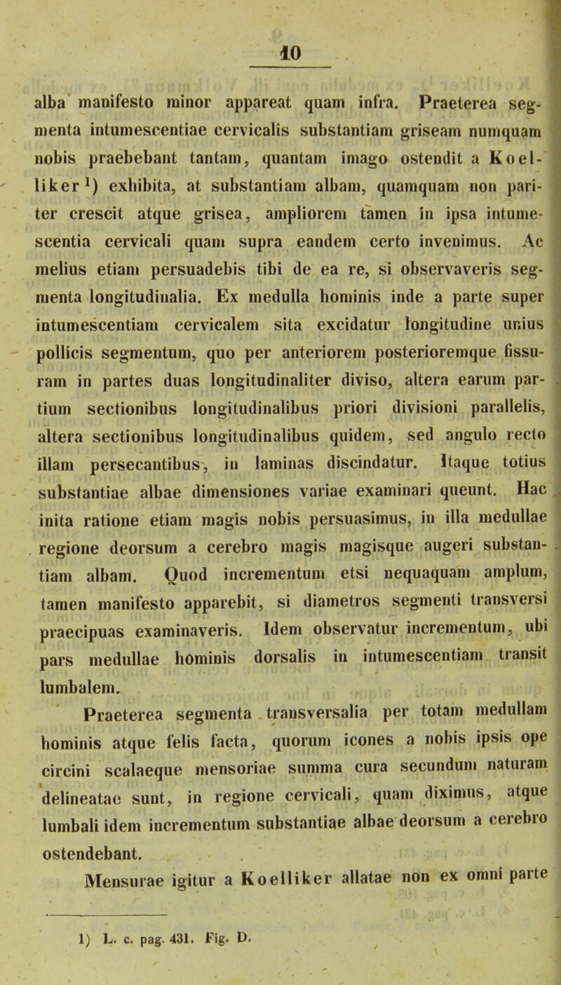 alba manifesto niinor appareat quam infra. Praeterea seg- menta intumescentiae eervicalis substantiam griseam numquam nobis praebebant tantam, quantam imago ostendit a Koel- liker\) exhibita, at substantiam albam, quamqiiam non pari- ter crescit atque grisea, ampliorem tamen in ipsa intume- scentia cervicali quam supra eandem certo invenimus. Ac melius etiani persuadebis tibi de ea re, si observaveris seg- nienta longitudiualia. Ex medulla hominis inde a parte super intumescentiam cervicalem sita excidatur longitudine unius poUicis segmentum, quo per anteriorem posterioremque fissu- ram in partes duas longitudinaliter diviso, altera earum par- tium sectionibus longitudinalibus priori divisioni parallelis, altera sectionibus longitudinalibus quidem, sed angulo recto illam persecantibus-, in laminas discindatur. itaque totius substantiae albae dimensiones variae examinari queunt. Hac inita ratione etiam magis nobis persuasimus, in illa medullae . regione deorsum a cerebro magis magisque augeri substan- tiam albam. Quod incrementum etsi nequaquam amplum, tamen manifesto apparebit, si diametros segmenti transversi praecipuas examinaveris. Idem observatur incrementum, ubi pars medullae hOminis dorsalis in intumescentiam transit lumbalem. Praeterea segmenta transversalia per totam meduUam hominis atque felis facta, quorum icones a nobis ipsis ope circini scalaeque mensoriae summa cura secunduni naturam delineatae sunt, in regione cervicali, quam diximus, atque lumbali idem incrementum substantiae albae deorsum a cerebro ostendebant. Mensurae igitur a Koelliker allatae non ex omni parte 1) L. c. pag. 431. Fig. D.