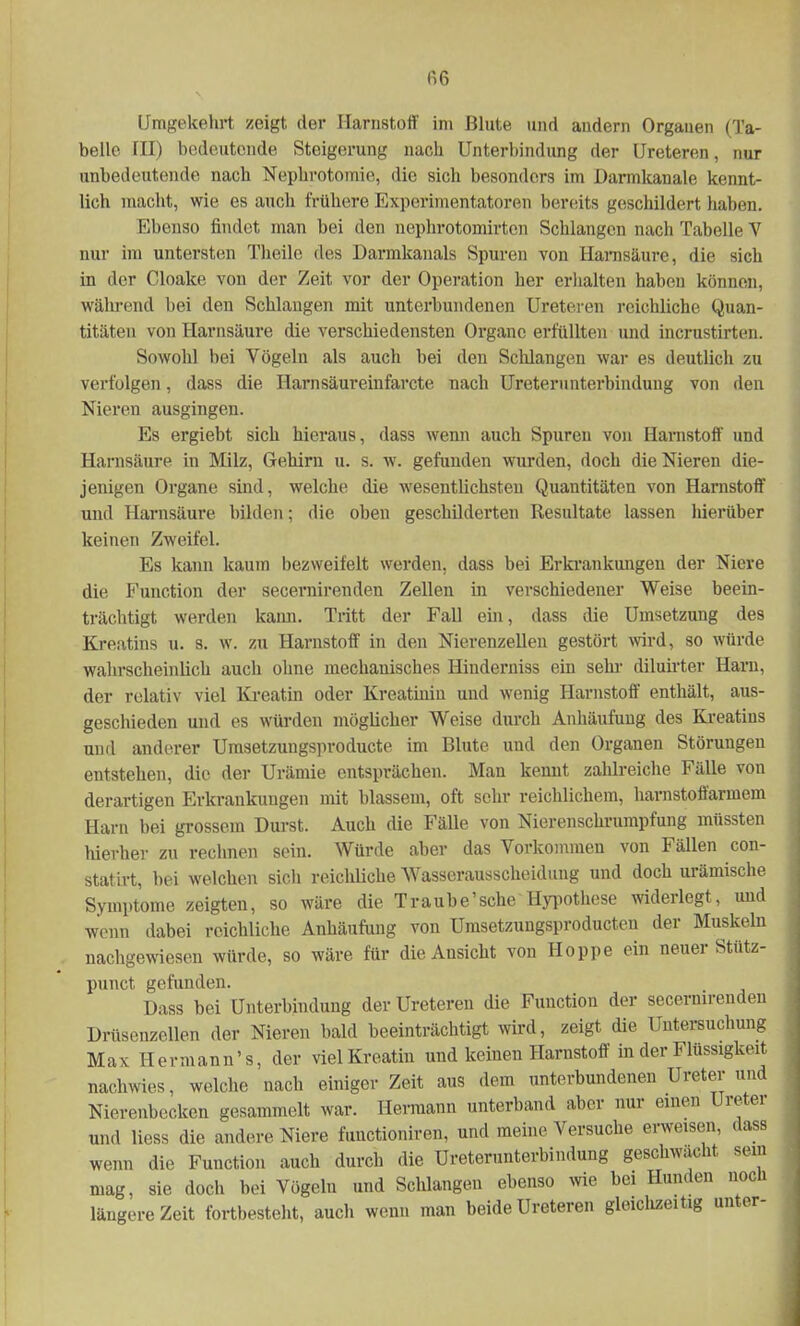 Umgekehrt zeigt der Harnstoff im Blute und andern Organen (Ta- belle III) bedeutende Steigerung nach Unterbindung der Ureteren, nur unbedeutende nach Nephrotomie, die sich besonders im Darmkanale kennt- lich macht, wie. es auch frühere Experimentatoren bereits geschildert haben. Ebenso findet man bei den nephrotomirtcn Schlangen nach Tabelle V nur im untersten Tlieilc des Darmkanals Spuren von Harnsäure, die sich in der Cloake von der Zeit vor der Operation her erhalten haben können, während hei den Schlaugen mit unterbundenen Ureteren reichliche Quan- titäten von Harnsäure die verschiedensten Organe erfüllten und incrustirten. Sowohl bei Vögeln als auch bei den Scldangen war es deutlich zu verfolgen, dass die Harn säur einfarcte nach Ureterunterbindung von den Nieren ausgingen. Es ergiebt sich hieraus, dass wenn auch Spuren von Harnstoff und Harnsäure in Milz, Gehirn u. s. w. gefunden wurden, doch die Nieren die- jenigen Organe sind, welche die wesentlichsten Quantitäten von Harnstoff und Harnsäure bilden; die oben geschilderten Resultate lassen hierüber keinen Zweifel. Es kann kaum bezweifelt werden, dass bei Erkrankungen der Niere die Function der secernirenden Zellen in verschiedener Weise beein- trächtigt werden kann. Tritt der Fall ein, dass die Umsetzung des Kreatins u. s. w. zu Hanistoff in den Nierenzellen gestört wird, so würde wahrscheinlich auch ohne mechanisches Hinderniss ein sehr diluirter Harn, der relativ viel Kreatin oder Kreatinin und wenig Harnstoff enthält, aus- geschieden und es würden möglicher Weise durch Anhäufung des Kreatins und anderer Umsetzungsproducte im Blute und den Organen Störungen entstehen, die der Urämie entsprächen. Man kennt zahlreiche Fälle von derartigen Erkrankungen mit blassem, oft sehr reichlichem, harnstoffarmem Harn bei grossem Durst. Auch die Fälle von Nierenschrumpfung müssten hierher zu rechnen sein. Würde aber das Vorkommen von Fällen con- statirt, bei welchen sich reichliche Wasserausscheidung und doch urämische Symptome zeigten, so wäre die Traube'sehe Hypothese widerlegt, und wenn dabei reichliche Anhäufung von Umsetzungsproducten der Muskeln nachgewiesen würde, so wäre für die Ansicht von Hoppe ein neuer Stütz- punet gefunden. Dass bei Unterbindung der Ureteren die Function der secernirenden Drüsenzellen der Nieren bald beeinträchtigt wird, zeigt die Untersuchung Max Hermann's, der viel Kreatin und keinen Harnstoff in der Flüssigkeit nachwies, welche nach einiger Zeit aus dem unterbundenen Ureter und Nierenbecken gesammelt war. Hermann unterband aber nur einen Ureter und liess die andere Niere funetioniren, und meine Versuche erweisen, dass wenn die Function auch durch die Ureterunterbindung geschwächt sein mag, sie doch bei Vögeln und Schlangen ebenso wie bei Hunden noch längere Zeit fortbestellt, auch wenn man beide Ureteren gleichzeitig unter-