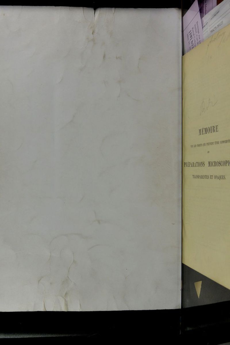 PEÉPiMTIOKS ÏICEOSCOPI maaraES et oi'jiies.