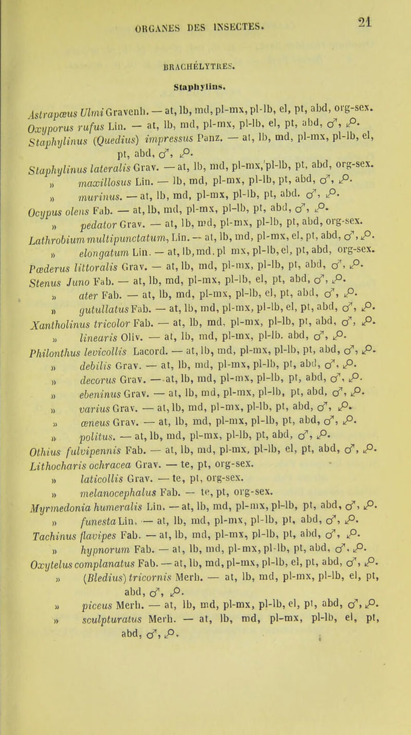 BRACHELYTKES. Stapliylins. islrapœus WmiGravenli. -at, Ib, mil, pl-mx, pMb, el, pt, abd, oig-scx. Oxuporus rufus Un. - at, Ib, nid, pl-mx, pl-lb, el, pt, abd, (f, P. Staphyliimx (Quedius) impressus Punz. - al, Ib, md, pl-mx, pl-lb, el, pt, abd, (f, p. Stapkylinus lateralis Gr^y. - al, Ib, md, pl-mx,'pl-lb, pt, abd, org-sex. „ maxillosus Lin. — Ib, md, pl-mx, pl-lb, pt, abd, cf, P- „ munîius. — at, Ib, md, pl-mx, pl-ib, pt, abd. çf, P. Ocypus olens Fab. — at,lb, md, pl-mx, pl-lb, pt, abd, (f, P. „ ^jedaior Grav. — at, Ib, md, pl-mx, pl-lb, pt, abd, org-sex. Lathrobiummullipunctatum, Lin. - at, Ib, md, pl-mx, el, pl, abd, (f, P. n elongatum Lin. — at, ib.md.pl mx, pl-lb,el, pt, abd, org-sex. Pœderus littoralis Grav. — at, Ib, md, pl-mx, pl-lb, pt, abd, çf, P. Stenus Juno Fab. — at, Ib, md, pl-mx, pl-lb, el, pt, abd, <f, p. » ater Fab. — at, Ib, md, pl-mx, pl-lb, el, pt, abd, <f, P- n ijutullatus ¥i\h. — at, Ib, md, pl-mx, pl-lb, el, pt, abd, (f, P- Xanlholinus tricolor Fab. — at, Ib, md, pl-mx, pl-lb, pt, abd, (f, p. ,, linearis Oliv. — al, Ib, md, pl-mx, pl-lb. abd, çf, p. Philonthus levicoUis Lacord. — at, Ib, md, pl-mx, pl-lb, pt, abd, cf, P- ,, dehilis Grav. — at, Ib, md, pl-mx, pl-lb, pt, abd, cf, P- » decorus Grav. —at, Ib, md, pl-mx, pl-lb, pt, abd, c/, p. » ebeninus Grav. — at, Ib, md, pl-mx, pl-lb, pt, abd, (f, p. .) vartus Grav. — al, Ib, md, pl-mx, pl-lb, pt, abd, (f, P. » œneus Grav. — al, Ib, md, pl-mx, pl-lb, pt, abd, (f, P. » politus. — at, Ib, md, pl-mx, pl-lb, pt, abd, cf, P. Othius fulvipennis Fab. — al, Ib, md, pl-mx, pl-lb, el, pt, abd, cf, P- Lithocharis ochracea Grav. — te, pt, org-sex. » laticollis Grav. — te, pt, org-sex. » melanocephalus Fab. — le, pt, org-sex. Myrmedonia humeralis Lin. — at, Ib, md, pl-mx, pl-lb, pt, abd, (f, P. » funestaUn. — at, Ib, md, pl-mx, pl-lb, pt, abd, cf, P- Tachinus jlavipes Fab. — al, Ib, md, pl-mx, pl-lb, pt, abd, cf, P. » hypnorum Fab. — al, Ib, md, pl-mx, pl-lb, pt, abd, çf. p. Oxytelus complanatus Fab. — at, Ib, md, pl-mx, pl-lb, el, pl, abd, (f, p. » {Bledius)tricornis Merb. — at, Ib, md, pl-mx, pl-lb, el, pt, abd, cf, p. » piceus Merb. — at, Ib, md, pl-mx, pl-lb, el, pl, abd, (f, p. n sculpturalus Merb. — at, Ib, md, pl-mx, pl-lb, el, pt, abd, d',P. ■