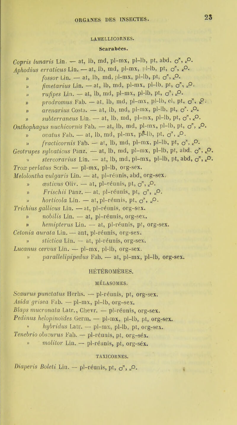 2S LAMELLICORNES. Scarabées. Copris lunaris Lin. — at, Ib, md, pl-mx, pl-lb, pt, abd, o, >P- Aphodius erraticus Lia. — au Ib, md, pl-mx, pl-lb, pt, cf, P- » fossor Lin. — at, Ib, md, pl-mx, pl-lb, pt, o', iP- j) fimetarius Lin. — at, Ib, md, pl-mx, pl-lb, pi, cT, P- « rufipes Lin. — at, Ib, md, pl-mx, pl-lb, pt, çf, p. » prodromus Fab. — al, Ib, md, pl-mx, pl-lb, ei, pt, (f, p. » arenarius Costa. — at, Ib, md, pl-mx, pl-lb, pt, cf. p. » subterraneus Lin. — at, ib, md, pl-mx, pl-lb, pt, (f, p. Onthophagus nuchicornis Fab. — at, Ib, md, pl-mx, pl-lb, pt, (f, p. » ovatus Fab. — al, Ib, md, pl-mx, pl^-lb, pt, (f, P. » fracticornis Fab. — al, Ib, md, pl-mx, pl-lb, pt, o, P- Geotrupes sylmticus Panz. — al, Ib, md, pl-mx, pl-lb, pl, abd, (f, p. « stercorarius Lin. — al, Ib, md, pl-mx, pl-lb, pt, abd, (f, p. Troxperlatus Scrib. — pl-mx, pl-lb, oi g-sex. Melolontha vulgaris Lin. — al, pl-véunis, abd, org-sex, )) œstivus Oliv. — at, pl-véïini.s, pl, o^, p. » Frischii Panz. — al, pl-réuui.s, pl, (f, p, » horlicola Lin. — al,pl-réunis, pt, çf, p. Trichius gallicus Lin. —al, pl-réunis, org-sex. » nobilis Lin. — at, pl-réunis, org-sex. » hemipterus Lin. — at, pl-ri^unis, p!, org-sex. Celonia aurala Lin. — ant, pl-réunis, org-sex. » stictica Lin. — al, pl-réunis, org-sex. Lucanus cervus Lin. — pl-mx, pl-lb, org-sex. » parallelipipedus Fab. — at, pl-mx, pl-lb, org-sex. HÉTÉROMÈRES. MÉLASOMES. Scaurus punctatus Herhs. —pl-réunis, pt, org-sex. Asida grisea Fab. — pl-mx, pl-lb, org-sex. Blaps mucronata Latr., Chevr. — pl-réunis, org-sex. Pedinus helopinoides Germ. — pl-mx, pl-lb, pt, org-sex. hybridus Lalr. — pl-mx, pl-lb, pl, org-sex. Tenebrio obacurus Fab. — pl-réunis, pl, org-séx. « molitor Lin. — pl-réunis, pt, org-séx. TAXICORNES. Diaperis Boleti Lin. — pl-réunis, pt, (f, p. t