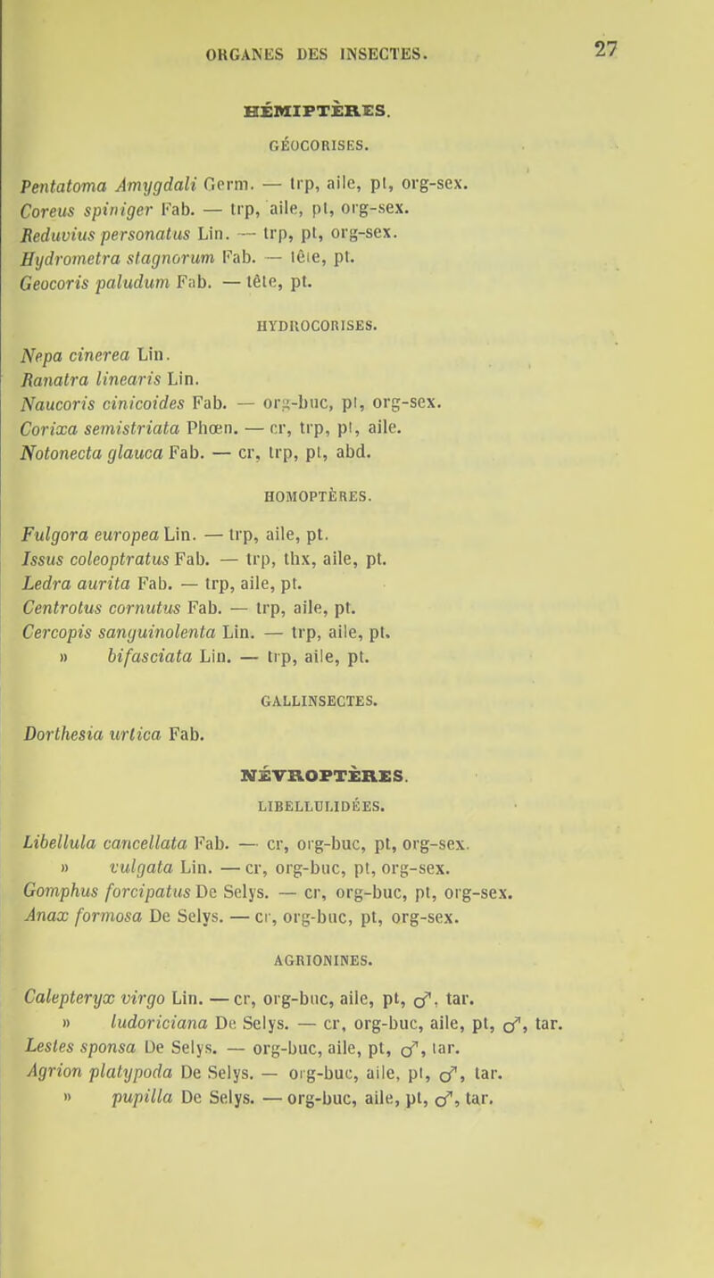 HÉMIPTÈRES. GÉOCORISKS. Pentatoma Amygdali Germ. — trp, aile, pl, org-sex. Coreus spiniger Fab. — trp, aile, pl, org-sex. Beduvitis personatus Lin. — trp, pl, org-sex. Hydrometra stagnorum Pah. ~ têie, pl. Geocoris paludum Fab. — tête, pt. HYDUOCOniSES. Nepa cinerea Lin. Ranalra iinearis Lin. Naucoris cinicoides Fab. — or.s-biic, pl, org-sex. Corixa semistriata Phœn. — cr, trp, pl, aile. Notonecta glauca Fab. — cr, trp, pl, abd. HOMOPTÈRES. Fulgora europea Lin. — trp, aile, pt. Issus coleoptratus Fab. — trp, thx, aile, pl. Ledra aurita Fab. — trp, aile, pt. Centrotus cornutus Fab. — trp, aile, pt. Cercopis sanguinolenta Lin. — trp, aile, pt. » bifasciata Lin. — trp, aile, pt. GALLINSECTES. Dorthesia urlica Fab. NÉVnOFTÈBLES. LIBELLUUDÉES. Libeliula cancellata Vah. — cr, org-buc, pt, org-sex. » vulgata Lin. — cr, org-buc, pt, org-sex. Gomphus forcipatusJie Selys. — cr, org-buc, pt, org-sex. Anax formosa De Selys. — cr, org-buc, pt, org-sex. AGRIONINES. Calepteryx virgo Lin. —cr, org-biic, aile, pt, cf. tar. » ludoriciana Dt; Selys. — cr, org-buc, aile, pt, çf, tar. Lestes sponsa De Sely.s. — org-buc, aile, pt, (f, tar. Agrion platypoda De Selys. — oi g-buc, aile, pi, cf, tar. » pupilla De Selys. — org-buc, aile, pt, cf, tar.
