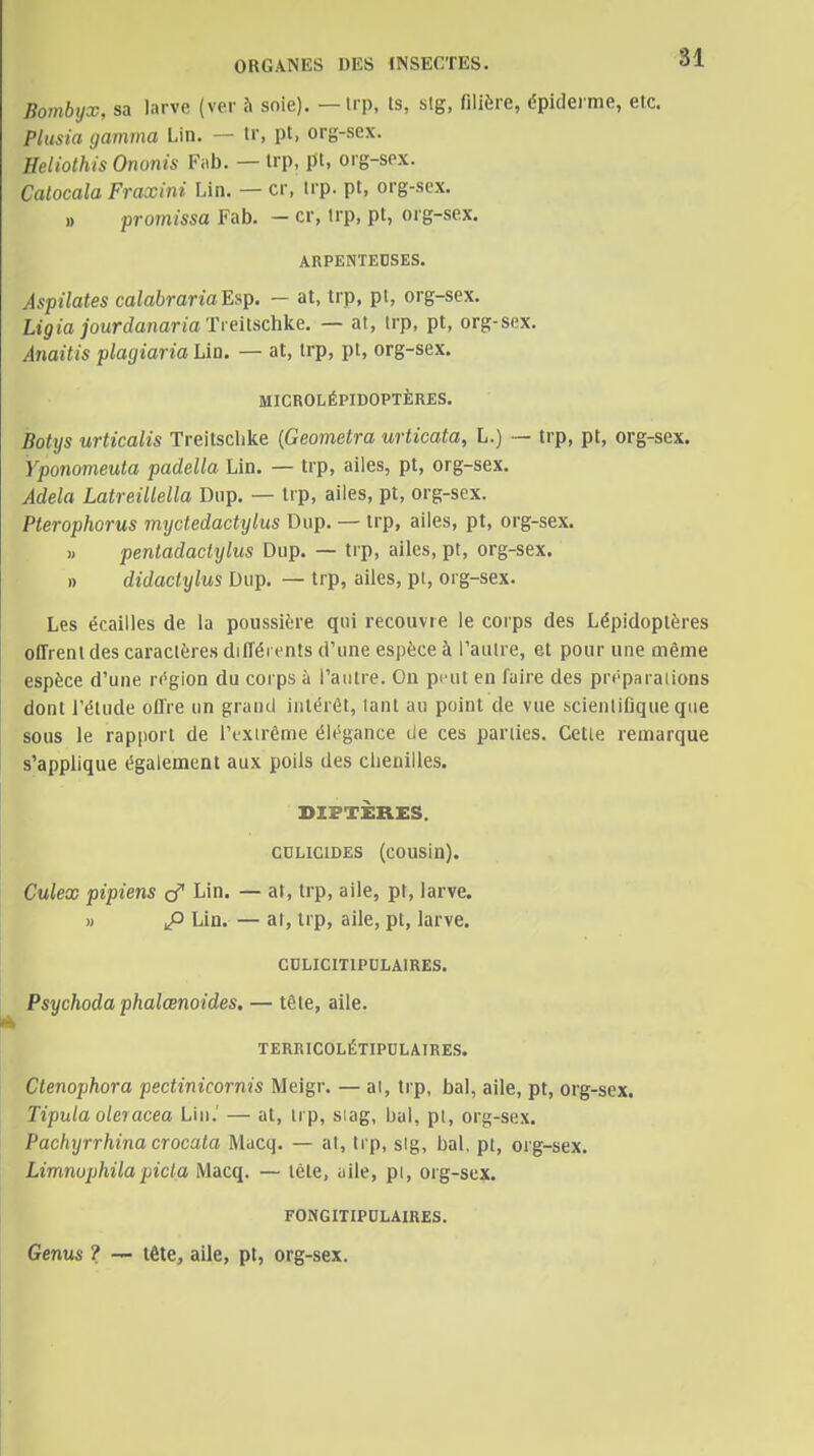 Bombyx, sa larve (ver à soie). — Up, ts, slg, filière, épiderme, etc. Plusia gamma Lin. — tr, pt, org-sex. Heliothis Ononis Fab. — irp, pt, org-spx. Calocala Fraxini Lin. — cr, trp. pt, org-scx. » promissa Fab. - cr, trp, pt, org-sex. ARPKNTKDSES. Aspilates calabranaE»p. — at, trp, pt, org-sex. Ligia jourdanariaTieilschke. — at, Irp, pt, org-sex. Anaitis plagiaria Lin. — at, trp, pt, org-sex. MICROLÉPIDOPTÈRES. Botys urticalis Treitsclike {Geometra urticata, L.) ■— trp, pt, org-sex. Yponomeuta padella Lin. — trp, ailes, pt, org-sex, Adela Latreillella Diip. — Irp, ailes, pt, org-sex. Pterophorus myctedactylus Dup. — trp, ailes, pt, org-sex. » pentadaclylus Dup. — trp, ailes, pt, org-sex. » didactylus Dup. — trp, ailes, pi, org-sex. Les écailles de la poussière qui recouvre le corps des Lépidoptères offrent des caractères différents d'une espèce à Taulre, et pour une même espèce d'une région du corps à l'autre. Ou pi'Ut en faire des préparations dont l'élude oflre un grand intérêt, tant au point de vue scientifique que sous le rapport de l'extrême élégance de ces parties. Cette remarque s'applique également aux poils des clienilles. DIPTÈRES. cnLiciDES (cousin). Culex pipiens o Lin. — at, trp, aile, pt, larve. « p Lin.— al, trp, aile, pt, larve. CDLICITIPOLAIRES. Psychodaphalœnoides. — tête, aile. TERRICOLÉTIPDLAIRES. Ctenophora pectinicornis Meigr. — at, trp, bal, aile, pt, org-sex. Tipula oleracea Lin.' — at, trp, siag, bal, pl, org-sex. Pachyrrhina crocata Macq. — al, Irp, slg, bal, pt, org-sex. Limmphilapicta Macq. — tête, aile, pi, org-sex. FONGITIPDLAIRES. Genus ? — tête, aile, pt, org-sex.