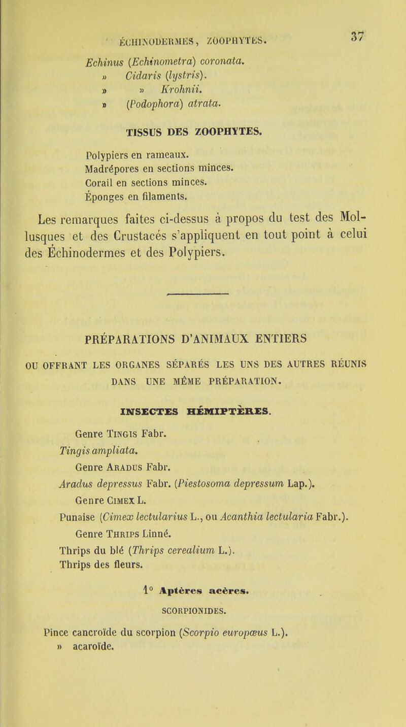 KCH1KUUEKJU5S, ZOOl'llYTIiS. Echinus (Echinometra) coronata. a Cidaris {lijstris). » » Krohnii. » {Podophora) atrata. TISSUS DES ZOOPHITES. Polypiers en rameaux. Madrépores en sections minces. Corail en sections minces. Éponges en filaments. Les remarques faites ci-dessus à propos du test des Mol- lusques et des Crustacés s'appliquent en tout point à celui des Échinodermes et des Polypiers. PRÉPARATIONS D'ANIMAUX ENTIERS OU OFFRANT LES ORGANES SÉPARÉS LES UNS DES AUTRES RÉUNIS DANS UNE MÊME PRÉPARATION. INSECTES HÉraiFTÈELES. Genre Tingis Fabr. Tingis ampliata. Genre Arados Fabr. Aradus depressus Fabr. (Piestosoma depressum Lap.). Genre Cimex L. Punaise [Cimex lectularius L., ou Acanthia lectularia Fabr.). Genre Thrips Linné. Thrips du blé {Thrips cerealium L.). Thrips des fleurs. 1° Aptères acères. SCORPIONIDES. Pince cancroïde du scorpion {Scorpio europœus L.). » acaroïde.