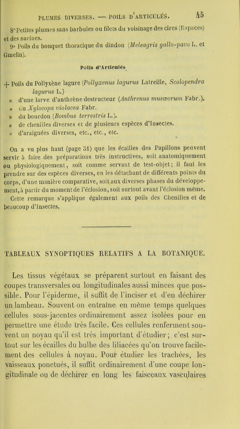 PLUMES DIVEaSRS. — l'OlLS d'aRTICULÉS. A5 8Petites plumes sans baibules ou (ileis du voisinage des cires (Rnpaces) et des narines. 9» Poils du bouquet ilioracique du dindon {Meleagris gallo-pavo L. et Gmelin). Polis d'Arliculés -f Poils du Pollyxène lagure {Polhjxenus lagtirus Latreille, Scolopendra lagurus L.) » d'une larve d'anthrène destructeur {Anthrenus musœorum Fabr.)« M eu Xylocopa violacea Fabr. » du bourdon (Bombus terrestris L.). » de chenilles diverses et de plusieurs espèces d'Insectes. » d'araignées diverses, etc., etc., etc. On a vu plus haut (page 31) que les écailles des Papillons peuvent servir à faire des préparations très Instructives, soit anatomiquement ou physiologiquement, soit comme servant de test-objet; 11 faut les prendre sur des espèces diverses, en les détachant de différents points du corps, d'une manière comparative, soit aux diverses phases du développe- ment, à partir du moment de l'éclosion, soit surtout avant l'éclosion même. Cette remarque s'applique également aux poils des Chenilles et de beaucoup d'Insectes. TABLEAUX SYNOPTIQUES RELATIFS A LA BOTANIQUE. Les tissus végétaux se préparent surtout en faisant des coupes transversales ou longitudinales aussi minces que pos- sible. Pour l'épiderme, il suffit de l'inciser et d'en déchirer unlatnbeau. Souvent on entraîne en même temps quelques cellules sous-jacentes ordinairement assez isolées pour en permettre une étude très facile. Ces cellules renferment sou- vent un noyau qu'il est très important d'étudier; c'est sur- tout sur les écailles du bulbe des liliacées qu'on trouve facile- ment des cellules à noyau. Pour étudier les trachées, les vaisseaux ponctués, il suffit ordinairement d'une coupe lon- gitudinale ou de déchirer en long les laisceaux vascu^laires