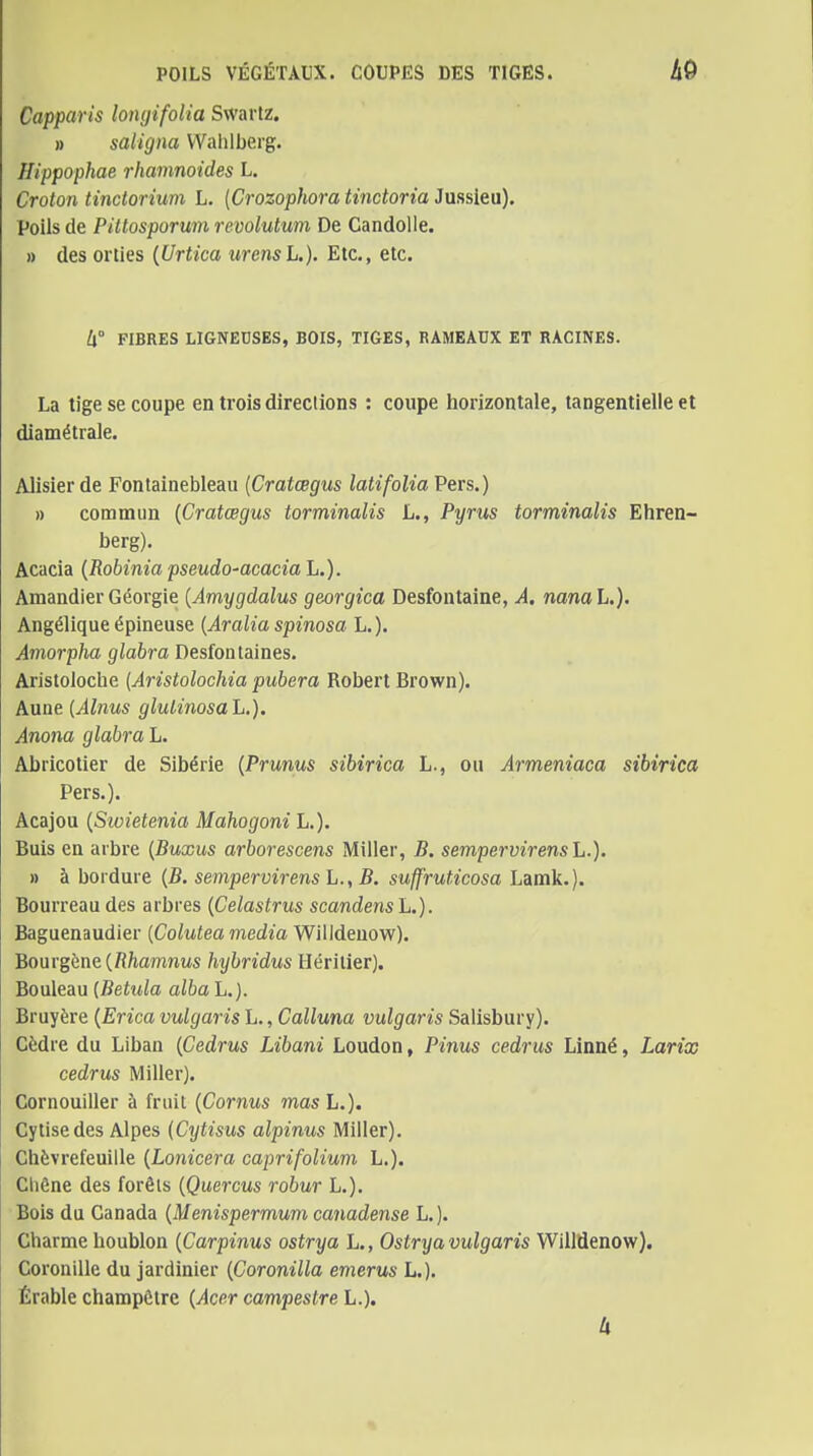 POILS VÉGÉTAUX. COUPES DES TIGES. Capparis lomjifolia Swartz. » saiigna VVahlberg. Hippophae rhamnoides L. Croton tinctoriurn h. {Crozophora tinctoria Jussieu). Poils de Piltosporum revolutum De Candolle. » des orties {Urtica urensL.). Etc., etc. W FIBRES LIGNEUSES, BOIS, TIGES, RAMEAUX ET RACINES. La tige se coupe en trois directions : coupe horizontale, tangentielle et diamétrale. Alisier de Fontainebleau {Cratœgus latifolia Pers.) » commun {Cratœgus torminalis L., Pyrus torminalis Ehren- berg). Acacia {Robinia pseudo-acacia L.). Amandier Géorgie [Amygdalus georgica Desfontaine, A. nanaL.). Angélique épineuse [Aralia spinosa L.). Amorpha glabra Desfon laines. Aristoloche (Aristolochia pubera Robert Brown). Aune {Alîius glulinosaL.). Anom glabra L. Abricotier de Sibérie {Prunus sibirica L., ou Armeniaca sibirica Pers.). Acajou {Sioietenia Mahogoni L.). Buis en arbre {Buxus arborescens Miller, B. sempervirensL.). » à bordure {B. sempervirens h.,B. suffruticosa Lamk.). Bourreau des arbres {Celastrus scandens L.). Baguenaudier (Colutea média Willdeuow). Bourgène (R/iamnMS hybridus Héritier). Bouleau {Betula alba L.). Bruyère {Erica vulgaris L., Calluna vulgaris Salisbury). Cèdre du Liban {Cedrus Libani Loudon, Pinus cedrus Linné, Larix cedrus Miller). Cornouiller à fruit {Cornus masL.), Cytise des Alpes {Cijtisus alpinus Miller). Chèvrefeuille {Lonicera caprifolium L.). Cliêne des forêts {Quercus robur L.). Bois du Canada {Menispermum canadense L.). Charme houblon {Carpinus ostrya L., Ostrya vulgaris WillÛenow). CoroniUe du jardinier {Coronilla emerus L.). Érable champêtre {Acer campestre L.). k