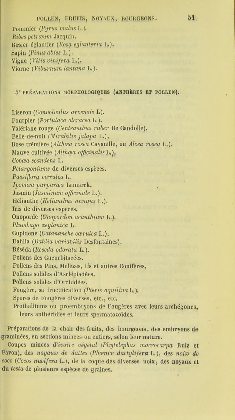 Pommier {Pyrus malus L.). Ribes petrœurn Jacquiii. Rosier églantier {Rosa eglanteria L.}. Sapin {Pinusabies L.). Vigne {Vitis vinifera L.). Viorne {Viburnum lantana L.). 5° PRÉPARATIONS MORPHOLOGIQUES (ANTHÈRES ET POLLEN). Liseron {Convolvulus arvensis L). Pourpier {Portulaca oleracea L.). Valériane rouge {Centranlhus ruber De Candolle). Belle-de-nuit {Mirabilis jalapa L.), Rose trémière {Althœa rosea Cavanille, ou Alcea rosea L,). Mauve cultivée {Althœa officinalis L.J. Cobœa scandens L. Pelargoniums de diverses espèces. Passiflora cœrulea L. Ipomœa purpurœa Lamarck. , Jasmin {Jasminum officinale L.), Hélianthe {Helianthus annuus L,). Iris de diverses espèces. Onoporde {Onopordon acanthimi L.). Plumbago zeylanica L. Cupidone {Oatananche cœrulea L.). Dalilia {Dahlia variabilis Desfontaines). Réséda {Reseda odorata L.). Pollens des Cucurbitacées. Pollens des Pins, Mélèzes, Ifs et autres Conifères, Pollens solides d'Asclépiadées. Pollens solides d'Orchidées. Fougère, sa fructification (Pteris aquilinaL.). Spores de Fougères diverses, etc., etc. Prothalliums ou proembryons de Fougères avec leurs archégones, leurs anthéridies et leurs spermatozoïdes. Préparations de la chair des fruits, des bourgeons, des embryons de graminées, en sections minces ou entiers, selon leur nature. Coupes minces d'ivoire végétal {Phylelephas macrocarpa Ruiz et Pavon), des noyaux de dattes {Phœnix dactylifera L.), des noix de coco (Cocos nucifera L.), de la coque des diverses noix, des noyaux et du testa de plusieurs espèces de graines.