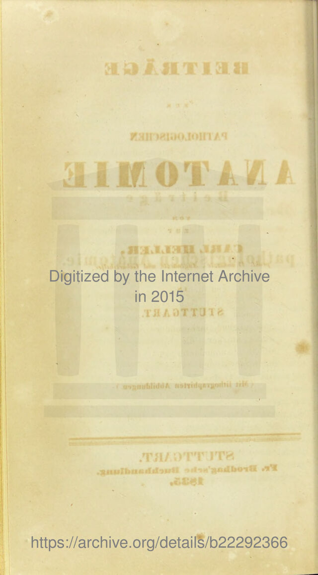 digitised image 2