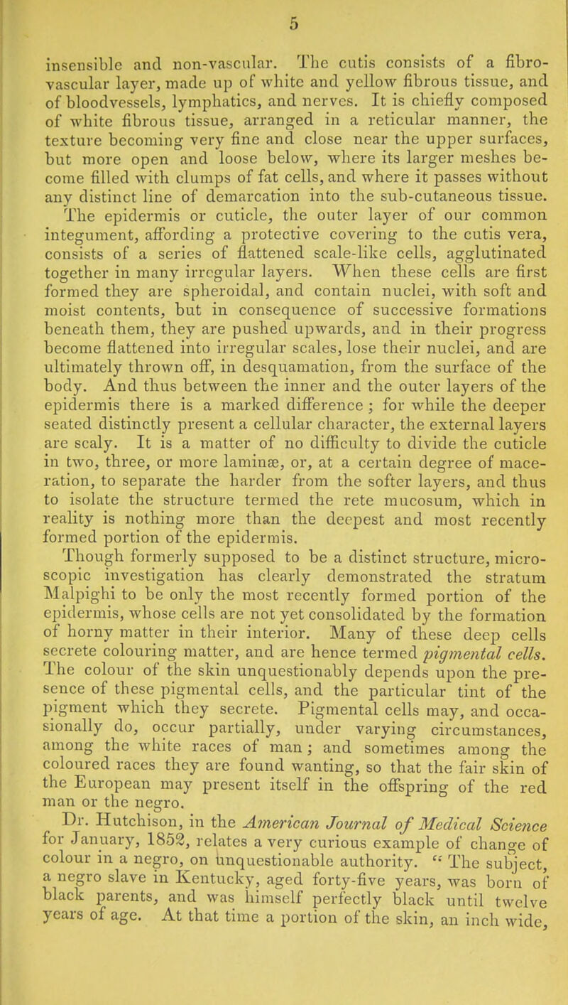insensible and non-vascular. The cutis consists of a fibro- vascular layer, made up of white and yellow fibrous tissue, and of bloodvessels, lymphatics, and nerves. It is chiefly composed of white fibrous tissue, arranged in a reticular manner, the texture becoming very fine and close near the upper surfaces, but more open and loose below, where its larger meshes be- come filled with clumps of fat cells, and where it passes without any distinct line of demarcation into the sub-cutaneous tissue. The epidermis or cuticle, the outer layer of our common integument, affording a protective covering to the cutis vera, consists of a series of flattened scale-like cells, agglutinated together in many irregular layers. When these cells are first formed they are spheroidal, and contain nuclei, with soft and moist contents, but in consequence of successive formations beneath them, they are pushed upwards, and in their progress become flattened into irregular scales, lose their nuclei, and are ultimately thrown off, in desquamation, from the surface of the body. And thus between the inner and the outer layers of the epidermis there is a marked difference ; for while the deeper seated distinctly present a cellular character, the external layers are scaly. It is a matter of no difficulty to divide the cuticle in two, three, or more laminae, or, at a certain degree of mace- ration, to separate the harder from the softer layers, and thus to isolate the structure termed the rete mucosum, which in reality is nothing more than the deepest and most recently formed portion of the epidermis. Though formerly supposed to be a distinct structure, micro- scopic investigation has clearly demonstrated the stratum Malpighi to be only the most recently formed portion of the epidermis, whose cells are not yet consolidated by the formation of horny matter in their interior. Many of these deep cells secrete colouring matter, and are hence termed pigmental cells. The colour of the skin unquestionably depends upon the pre- sence of these pigmental cells, and the particular tint of the pigment which they secrete. Pigmental cells may, and occa- sionally do, occur partially, under varying circumstances, among the white races of man ; and sometimes among the coloured races they are found wanting, so that the fair skin of the European may present itself in the offspring of the red man or the negro. Dr. Hutchison, in the American Journal of Medical Scietice for January, 1852, relates a very curious example of change of colour in a negro, on hnquestionable authority. The subject, a negro slave in Kentucky, aged forty-five years, Avas bora of black parents, and was himself perfectly black until twelve years of age. At that time a portion of the skin, an inch wide.