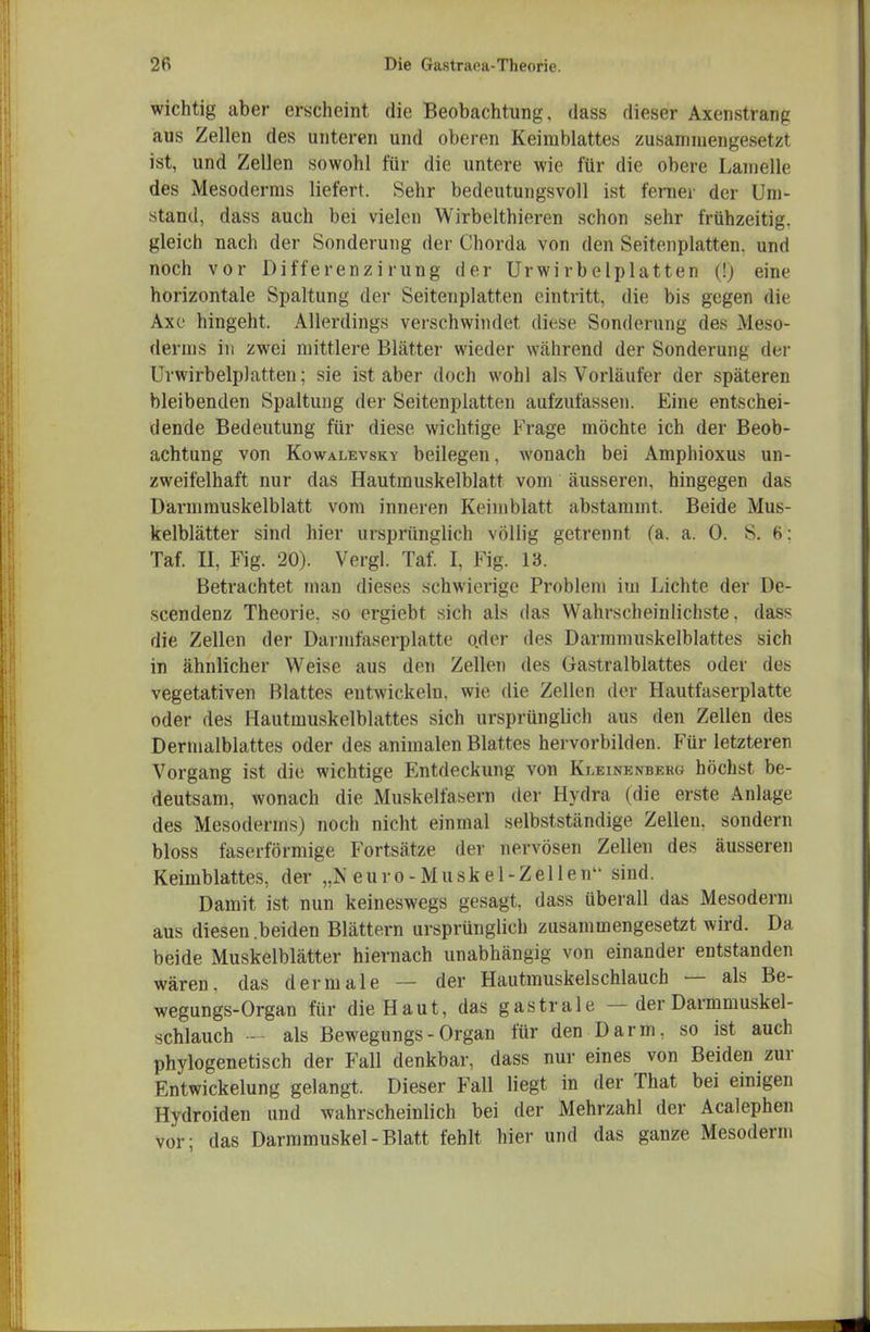 wichtig aber erscheint die Beobachtung, dass dieser Axenstranp aus Zellen des unteren und oberen Keimblattes zusammengesetzt ist, und Zellen sowohl für die untere wie für die obere Lamelle des Mesoderms liefert. Sehr bedeutungsvoll ist ferner der Um- stand, dass auch bei vielen Wirbelthieren schon sehr frühzeitig, gleich nach der Sonderung der Chorda von den Seitenplatten, und noch vor Differenz! rung der Urwirbelplatten (!j eine horizontale Spaltung der Seiteuplatten eintritt, die bis gegen die Axe hingeht. Allerdings verschwindet diese Sonderung des Meso- derms in zwei mittlere Blätter wieder während der Sonderung der Urwirbelplatten; sie ist aber doch wohl als Vorläufer der späteren bleibenden Spaltung der Seitenplatten aufzufassen. Eine entschei- dende Bedeutung für diese wichtige Frage möchte ich der Beob- achtung von KowALEvsKY bcilegeu, wonach bei Amphioxus un- zweifelhaft nur das Hautmuskelblatt vom äusseren, hingegen das Darmrauskelblatt vom inneren Keimblatt abstammt. Beide Mus- kelblätter sind hier ursprünglich völlig getrennt (&. a. 0. S. 6: Taf. II, Fig. 20). Vergl. Taf. I, Fig. 13. Betrachtet man dieses schwierige Problem im Lichte der De- scendenz Theorie, so ergiebt sich als das Wahrscheinlichste, dass die Zellen der Darmfaserplatte oder des Darmmuskelblattes sich in ähnlicher Weise aus den Zellen des Gastralblattes oder des vegetativen Blattes entwickeln, wie die Zellen der Hautfaserplatte oder des Hautmuskelblattes sich ursprünglich aus den Zellen des Dermalblattes oder des animalen Blattes hervorbilden. Für letzteren Vorgang ist die wichtige Entdeckung von Kleinenbehg höchst be- deutsam, wonach die Muskelfasern der Hydra (die erste Anlage des Mesoderms) noch nicht einmal selbstständige Zellen, sondern bloss faserförmige Fortsätze der nervösen Zellen des äusseren Keimblattes, der „Neuro-Muskel-Zellen sind. Damit ist nun keineswegs gesagt, dass überall das Mesoderm aus diesen .beiden Blättern ursprünglich zusammengesetzt wird. Da beide Muskelblätter hiernach unabhängig von einander entstanden wären, das dermale — der Hautmuskelschlauch — als Be- wegungs-Organ für die Haut, das gastrale — der Darmmuskel- schlauch ■- als Bewegungs - Organ für den Darm, so ist auch phylogenetisch der Fall denkbar, dass nur eines von Beiden zur EntWickelung gelangt. Dieser Fall liegt in der That bei einigen Hydroiden und wahrscheinlich bei der Mehrzahl der Acalephen vor; das Darmmuskel - Blatt fehlt hier und das ganze Mesoderm