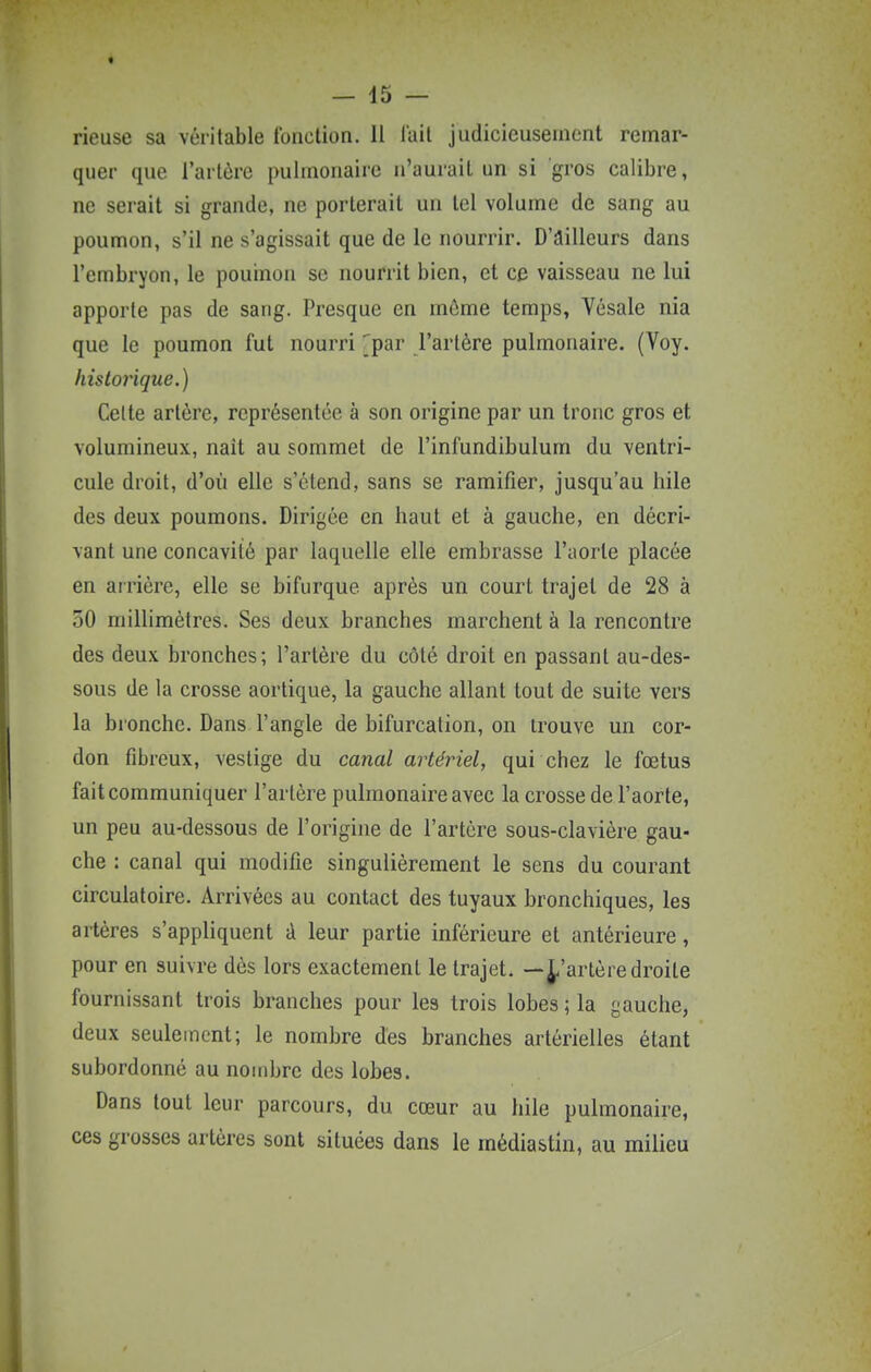 quer que l'artère pulmonaire n'aurait un si gros calibre, ne serait si grande, ne porterait un tel volume de sang au poumon, s'il ne s'agissait que de le nourrir. D'âilleurs dans l'embryon, le pouinon se nourrit bien, et ce vaisseau ne lui apporte pas de sang. Presque en môme temps, Vésale nia que le poumon fut nourri ^par l'artère pulmonaire. (Voy. historique.) Celte artère, représentée à son origine par un tronc gros et volumineux, naît au sommet de l'infundibulum du ventri- cule droit, d'où elle s'étend, sans se ramifier, jusqu'au hile des deux poumons. Dirigée en haut et à gauche, en décri- vant une concavité par laquelle elle embrasse l'aorte placée en arrière, elle se bifurque après un court trajet de 28 à 50 millimètres. Ses deux branches marchent à la rencontre des deux bronches; l'artère du côté droit en passant au-des- sous de la crosse aortique, la gauche allant tout de suite vers la bronche. Dans l'angle de bifurcation, on trouve un cor- don fibreux, vestige du canal artériel, qui chez le fœtus fait communiquer l'artère pulmonaire avec la crosse de l'aorte, un peu au-dessous de l'origine de l'artère sous-clavière gau- che : canal qui modifie singulièrement le sens du courant circulatoire. Arrivées au contact des tuyaux bronchiques, les artères s'appliquent à leur partie inférieure et antérieure, pour en suivre dès lors exactement le trajet. —J-'arlère droite fournissant trois branches pour les trois lobes ; la gauche, deux seulement; le nombre des branches artérielles étant subordonné au nombre des lobes. Dans tout leur parcours, du cœur au hile pulmonaire, ces grosses artères sont situées dans le médiastin, au milieu