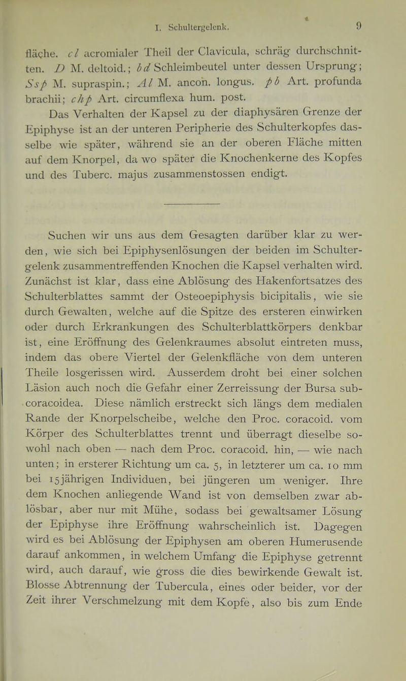 fläghe. cl acroinialcr Theil der ClavicuUi, schräg durchschnit- ten. D M. deltoid.; /;^/Schleimbeutel unter dessen Ursprung; Ssp M. supraspin.; A l M. ancoh. longus. p b Art. profunda brachii; chp Art. circumflexa hum. post. Das Verhalten der Kapsel zu der diaphysären Grenze der Epiphyse ist an der unteren Peripherie des Schulterkopfes das- selbe wie später, während sie an der oberen Fläche mitten eiuf dem Knorpel, da wo später die Knochenkerne des Kopfes und des Tuberc. majus zusammenstossen endigt. Suchen wir uns aus dem Gesagten darüber klar zu wer- den , wie sich bei Epiphysenlösungen der beiden im Schulter- gelenk zusammentreffenden Knochen die Kapsel verhalten wird. Zunächst ist klar, dass eine Ablösung des Hakenfortsatzes des Schulterblattes sammt der Osteoepiphysis bicipitalis, wie sie durch Gewalten, welche auf die Spitze des ersteren einwirken oder durch Erkrankungen des Schulterblattkörpers denkbar ist, eine Eröffnung des Gelenkraumes absolut eintreten muss, indem das obere Viertel der Gelenkfläche von dem unteren Theile losgerissen wird. Ausserdem droht bei einer solchen Läsion auch noch die Gefahr einer Zerreissung der Bursa sub- coracoidea. Diese nämlich erstreckt sich längs dem medialen Rande der Knorpelscheibe, welche den Proc. coracoid. vom Körper des Schulterblattes trennt und überragt dieselbe so- wohl nach oben — nach dem Proc. coracoid. hin, — wie nach unten; in ersterer Richtung um ca. 5, in letzterer um ca. 10 mm bei 15jährigen Individuen, bei jüngeren um weniger. Ihre dem Knochen anliegende Wand ist von demselben zwar ab- lösbar, aber nur mit Mühe, sodass bei gewaltsamer Lösung der Epiphyse ihre Eröffnung wahrscheinüch ist. Dagegen wird es bei Ablösung der Epiphysen am oberen Humerusende darauf ankommen, in welchem Umfang die Epiphyse getrennt wird, auch darauf, wie gross die dies bewirkende Gewalt ist. Blosse Abtrennung der Tubercula, eines oder beider, vor der Zeit ihrer Verschmelzung mit dem Kopfe, also bis zum Ende
