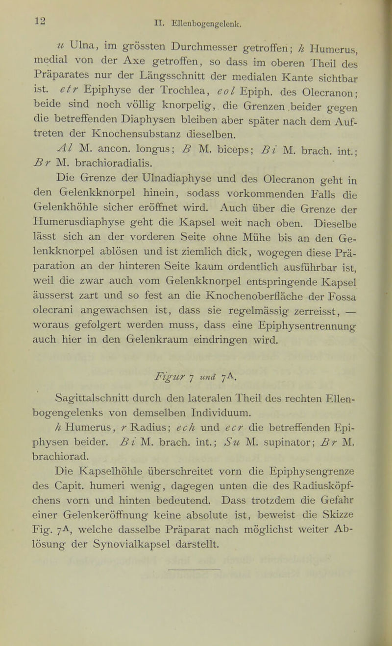 ti, Ulna, im grössten Durchmesser getroffen; ]i. Humerus, medial von der Axe getroffen, so dass im oberen Theil des Präparates nur der Längsschnitt der medialen Kante sichtbar ist. etr Epiphyse der Trochlea, Epiph. des Olecranon; beide sind noch völlig knorpelig, die Grenzen beider gegen die betreffenden Diaphysen bleiben aber später nach dem Auf- treten der Knochensubstanz dieselben. AI 'yi. ancon. longus; B M. biceps; Bi M. brach, int.; Br M.. brachioradialis. Die Grenze der Ulnadiaphyse und des Olecranon geht in den Gelenkknorpel hinein, sodass vorkommenden Falls die Gelenkhöhle sicher eröffnet wird. Auch über die Grenze der Humerusdiaphyse geht die Kapsel weit nach oben. Dieselbe lässt sich an der vorderen Seite ohne Mühe bis an den Ge- lenkknorpel ablösen und ist ziemlich dick, wogegen diese Prä- paration an der hinteren Seite kaum ordentlich ausführbar ist, weil die zwar auch vom Gelenkknorpel entspringende Kapsel äusserst zart und so fest an die Knochenoberfläche der Fossa olecrani angewachsen ist, dass sie regelmässig zerreisst, — woraus gefolgert werden muss, dass eine Epiphysentrennung auch hier in den Gelenkraum eindringen wird. Figur 7 und 7A. Sagittalschnitt durch den lateralen Theil des rechten Ellen- bogengelenks von demselben Individuum. h Humerus, r Radius; ech und ecr die betreffenden Epi- physen beider. B i M.. brach, int.; Sit M. supinator; Br M. brachiorad. Die Kapselhöhle überschreitet vorn die Epiphysengrenze des Capit. humeri wenig, dagegen unten die des Radiusköpf- chens vorn und hinten bedeutend. Dass trotzdem die Gefahr einer Gelenkeröffnung keine absolute ist, beweist die Skizze Fig. 7-A-, welche dasselbe Präparat nach möglichst weiter Ab- lösung der Synovialkapsel darstellt.
