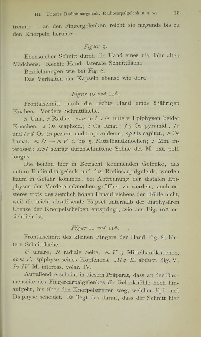 trennt; — an den Fingerg-elenken reicht sie nirgends bis zu den Knorpeln herunter. Figur 9. Ebensolcher Schnitt durch die Hand eines 1^/4 Jahr alten Mädchens. Rechte Hand; laterale Schnittfläche. Bezeichnungen wie bei Fig. 8. Das Verhalten der Kapseln ebenso wie dort. Figur 10 tind IO-A-. Frontalschnitt durch die rechte Hand eines 8 jährigen Knaben. Vordere Schnittfläche. u Ulna, /-Radius; ei-u und eir untere Epiphysen beider Knochen, s Os scaphoid.; / Os lunat.; py Os pyramid., tr und trdOs trapezium und trapezoideum, cp Os capitat.; h Os hamat. m II — -;// V 2. bis 5. Mittelhandknochen; / Mm. in- terossei; Fpl schräg durchschnittene Sehne des M. ext. poll.' longus. Die beiden hier in Betracht kommenden Gelenke, das untere Radioulnargelenk und das Radiocarpalgelenk, werden kaum in Gefahr kommen, bei Abtrennung der distalen Epi- physen der Vorderarmknochen geöffnet zu werden, auch er- steres trotz des ziemlich hohen Hinaufreichens der Höhle nicht, weil die leicht abzulösende Kapsel unterhalb der diaphysären Grenze der Knorpelscheiben entspringt, wie aus Fig. lo-A- er- sichtlich ist. Figur I I und I lA. Frontalschnitt des kleinen Fingers der Hand Fig-. 8; hin- tere Schnittfläche. U ulnare, radiale Seite; m V 5. Mittelhandknochen, ccm V, Epiphyse seines Köpfchens. Abq M. abduct. dig. V; Iv IV M. inteross. volar. IV. Auffallend erscheint in diesem Präparat, dass an der Dau- menseite des Fingercarpalgelenkes die Gelenkhöhle hoch hin- aufgeht, bis über den Knorpelstreifen weg, welcher Epi- und Diaphyse scheidet. Es liegt das daran, dass der Schnitt hier