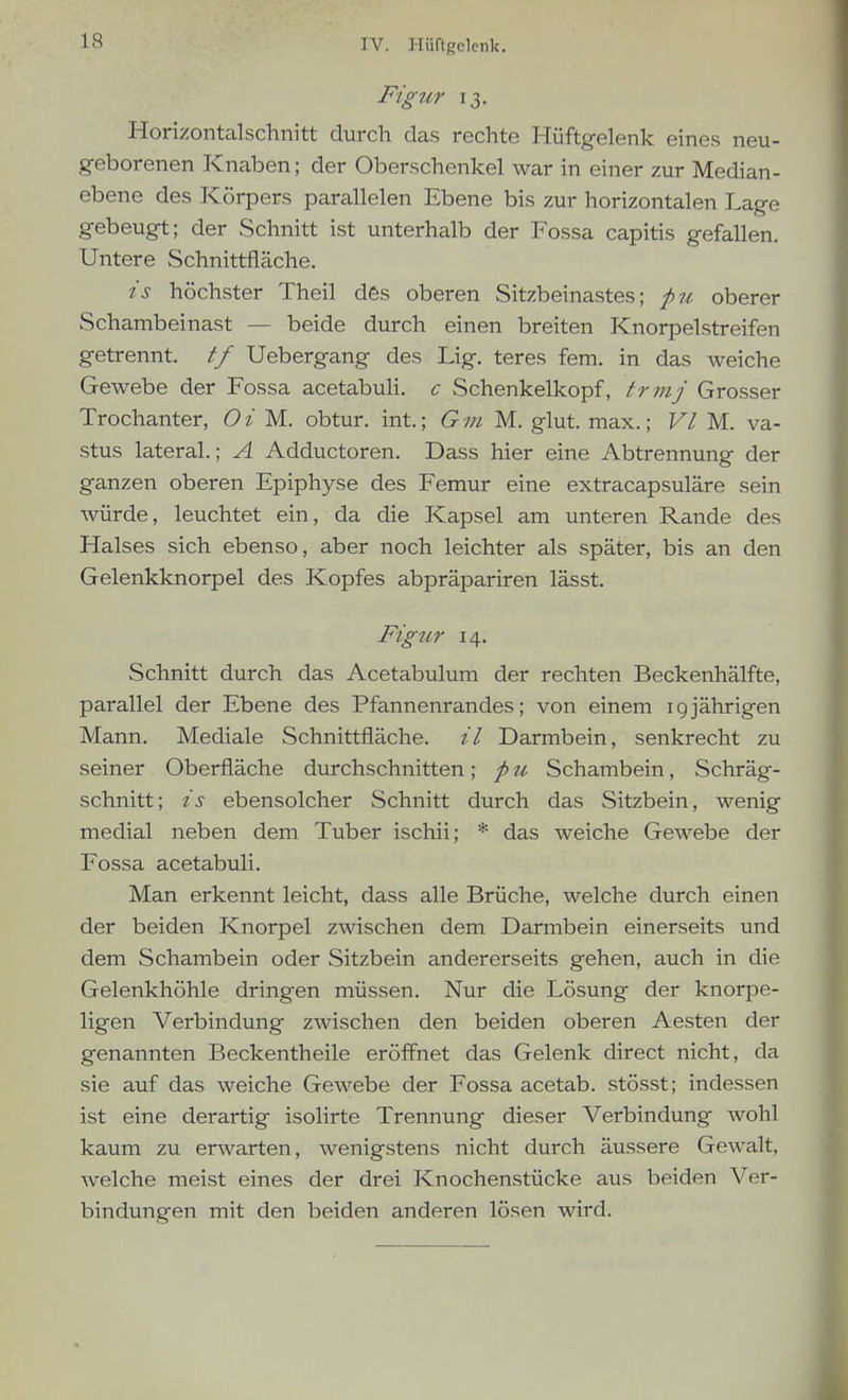 IV. HüftRclenk. Figur 13. Horizontalschnitt durch das rechte Hüftgelenk eines neu- geborenen Knaben; der Oberschenkel war in einer zur Median- ebene des Körpers parallelen Ebene bis zur horizontalen Lage gebeugt; der Schnitt ist unterhalb der Fossa capitis gefallen. Untere Schnittfläche. is höchster Theil dös oberen Sitzbeinastes; pu oberer Schambeinast — beide durch einen breiten Knorpelstreifen getrennt, tf Uebergang des Lig. teres fem. in das weiche Gewebe der Fossa acetabuH. c Schenkelkopf, trmj Grosser Trochanter, O i M. obtur. int.; G vi M. glut. max.; VI M. va- stus lateral.; A Adductoren. Dass hier eine Abtrennung der ganzen oberen Epiphyse des Femur eine extracapsuläre sein würde, leuchtet ein, da die Kapsel am unteren Rande des Halses sich ebenso, aber noch leichter als später, bis an den Gelenkknorpel des Kopfes abpräpariren lässt. Figur 14. Schnitt durch das Acetabulum der rechten Beckenhälfte, parallel der Ebene des Pfannenrandes; von einem ig jährigen Mann. Mediale Schnittfläche, il Darmbein, senkrecht zu seiner Oberfläche durchschnitten; p u Schambein, Schräg- schnitt; is ebensolcher Schnitt durch das Sitzbein, wenig medial neben dem Tuber ischii; * das weiche Gewebe der Fossa acetabuli. Man erkennt leicht, dass alle Brüche, welche durch einen der beiden Knorpel zwischen dem Darmbein einerseits und dem Schambein oder Sitzbein andererseits gehen, auch in die Gelenkhöhle dringen müssen. Nur die Lösung der knorpe- ligen Verbindung zwischen den beiden oberen Aesten der genannten Beckentheile eröffnet das Gelenk direct nicht, da sie auf das weiche Gewebe der Fossa acetab. stösst; indessen ist eine derartig isolirte Trennung dieser Verbindung Avohl kaum zu erwarten, wenigstens nicht durch äussere Gewalt, welche meist eines der drei Knochenstücke aus beiden Ver- bindungen mit den beiden anderen lösen wird.